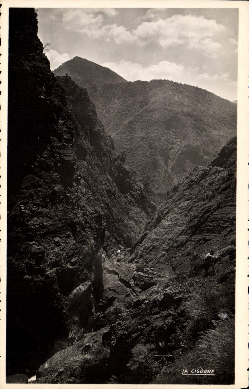 CPM Gorges du Cians La saut de la belle mere