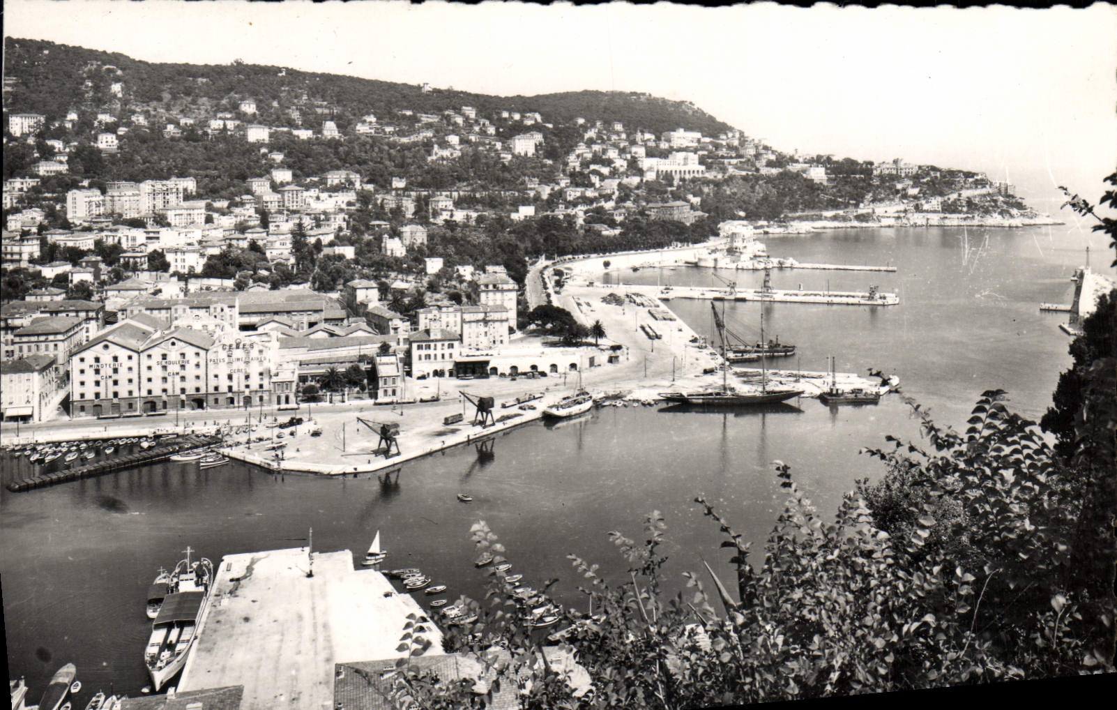 CPM Nice Entree Du Port Et Le Mont Boron