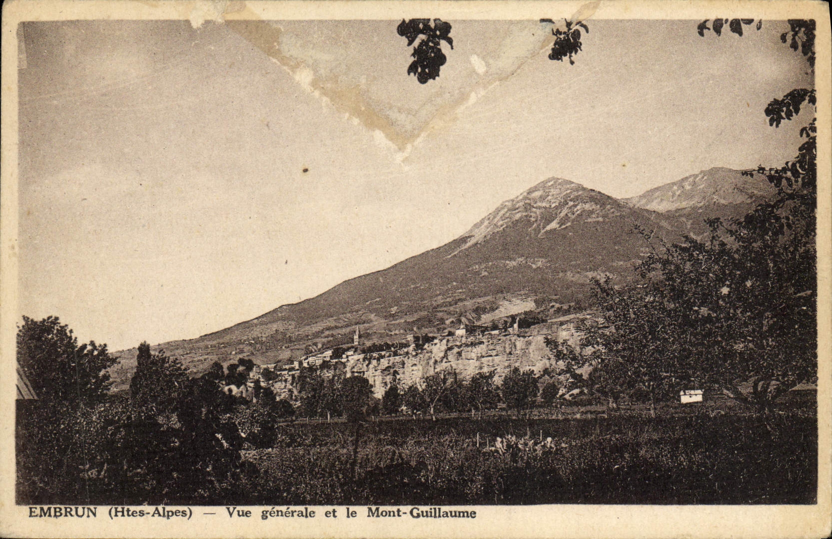 Opinión del aerosol de la POSTAL de la VENDIMIA y el montaje de Guillermo