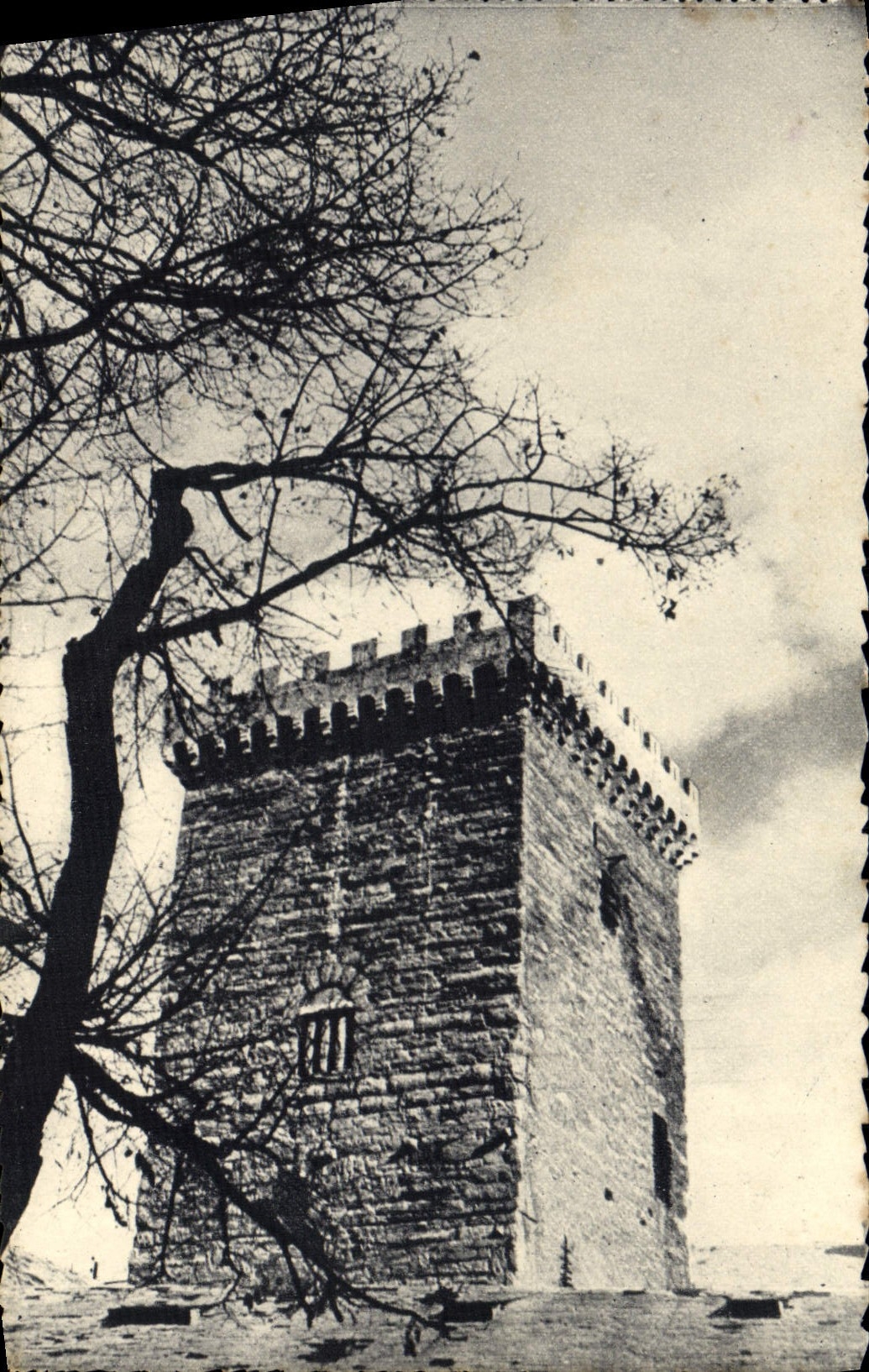 VINTAGE POSTCARD Spray Brown Tower