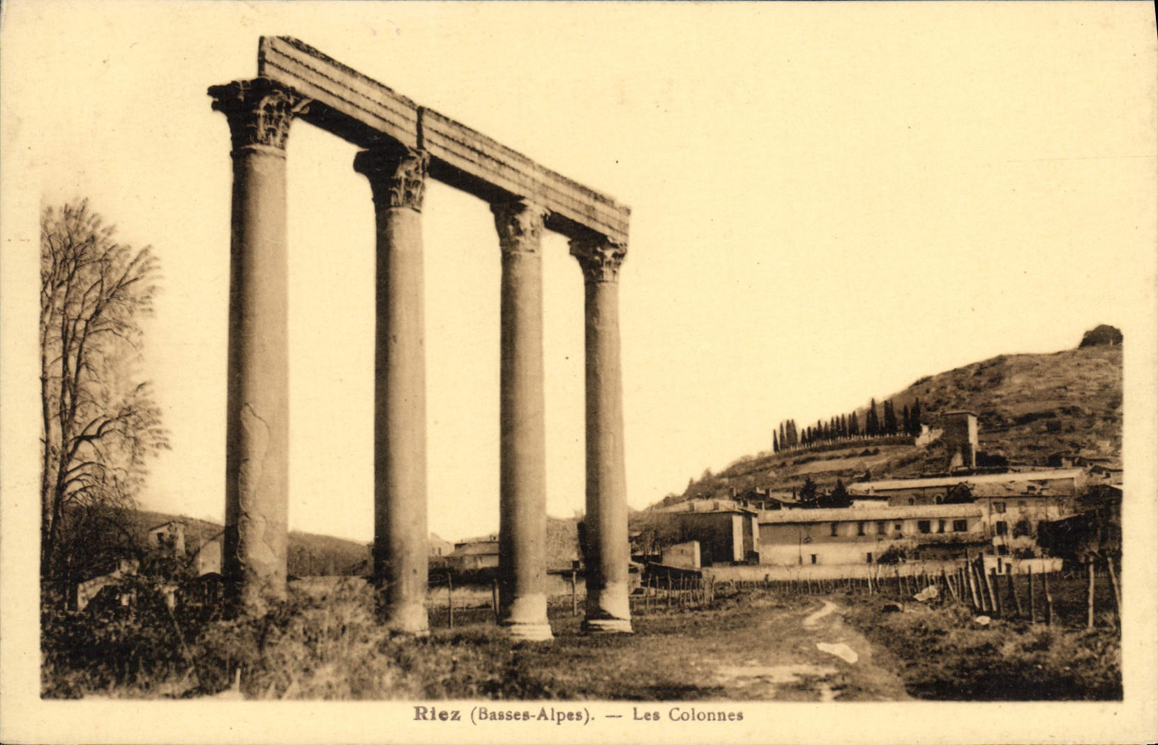 Risa de la POSTAL de la VENDIMIA las columnas