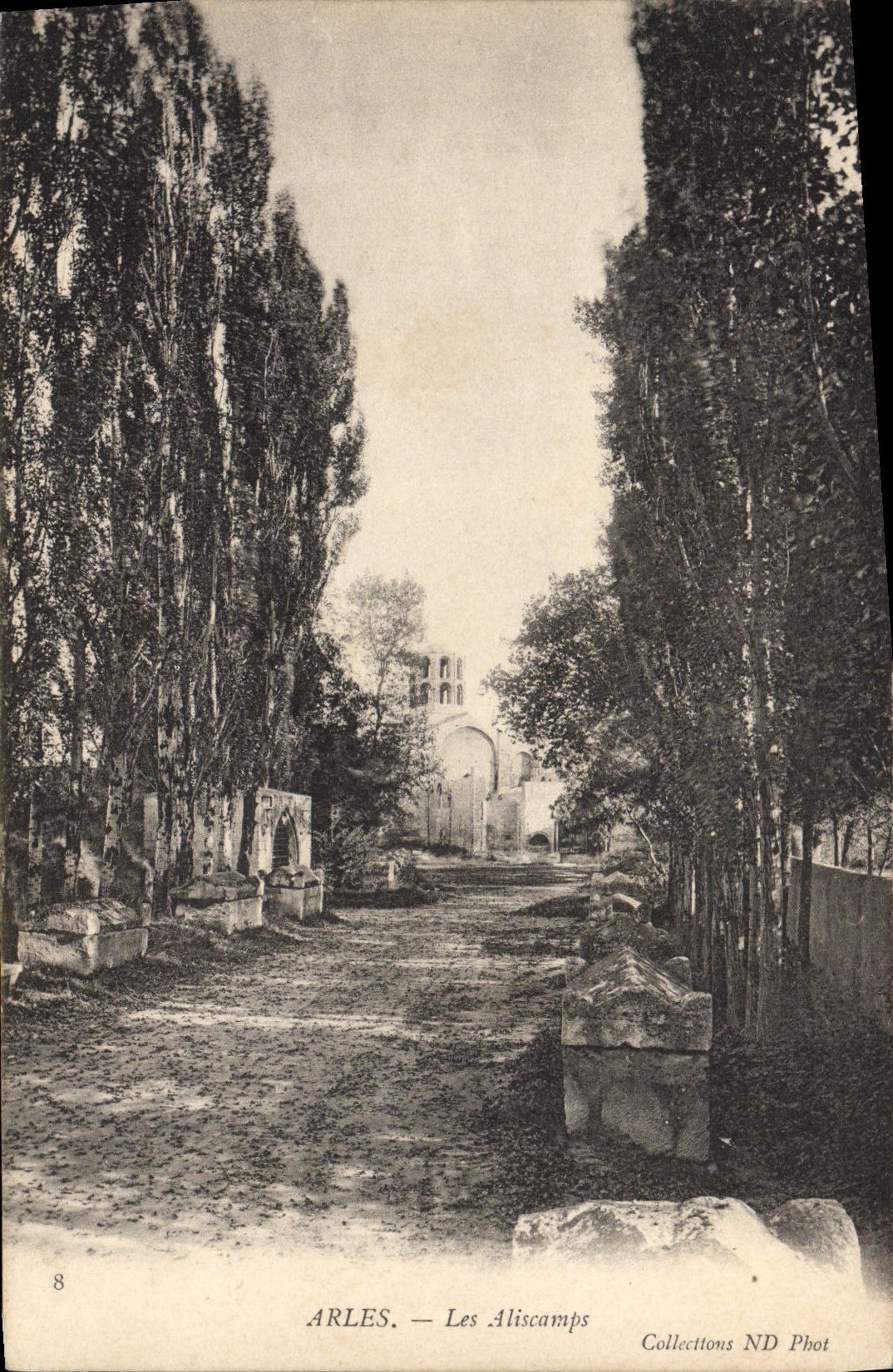 VINTAGE POSTCARD Arles Aliscamps