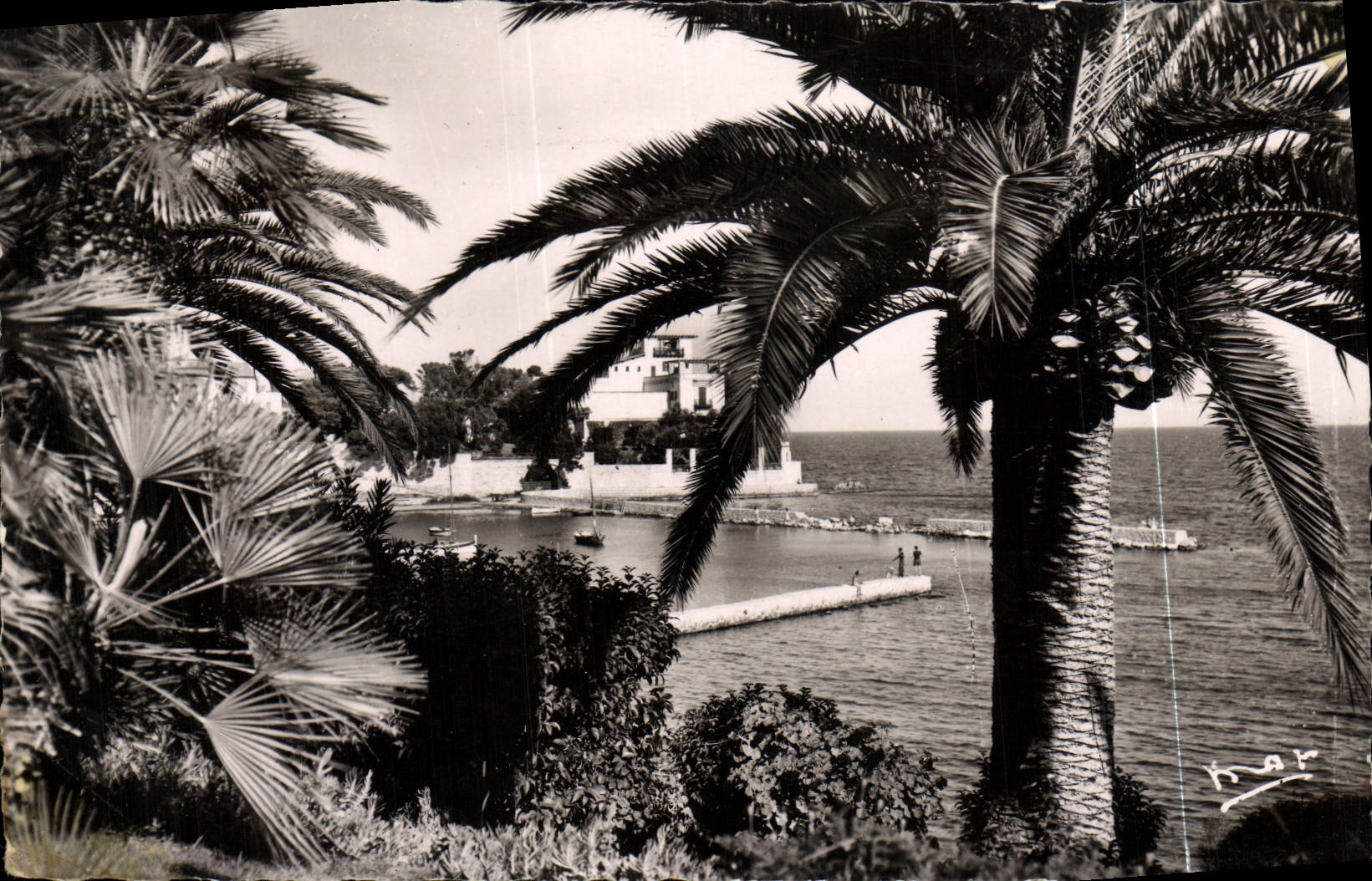 CPM Beaulieu Sur Mer La Baie Des Fourmis