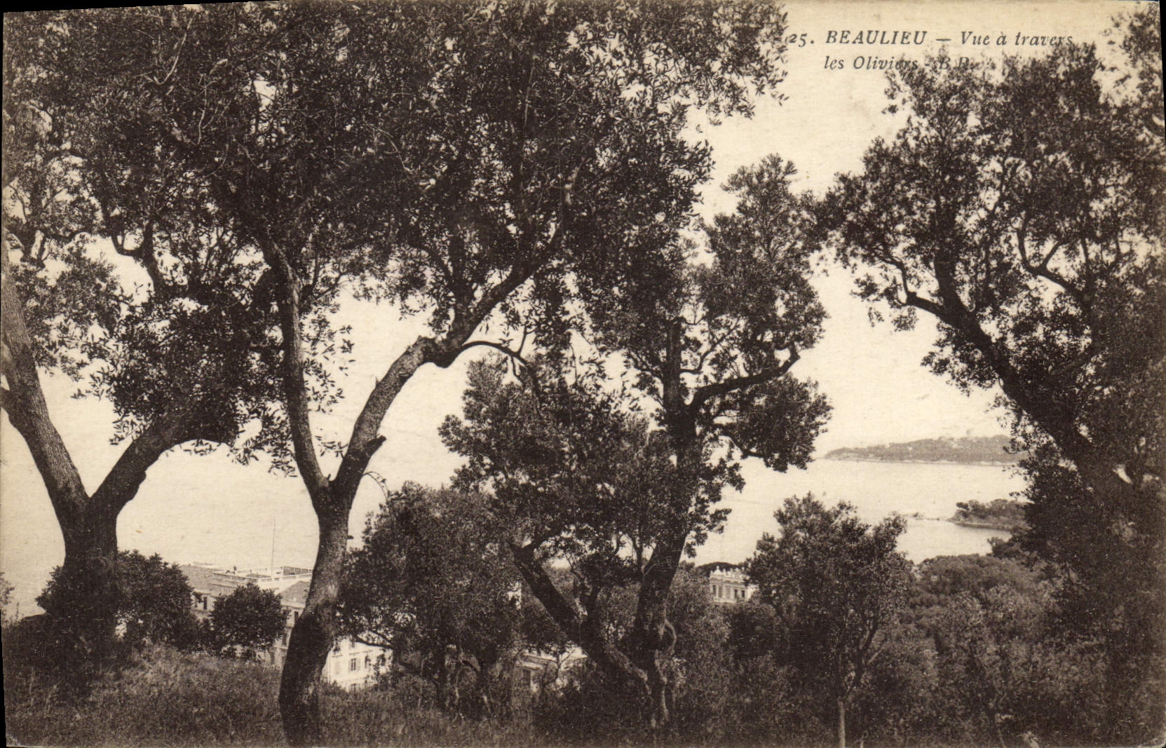 VINTAGE POSTCARD Beaulieu On Sea Seen through the olive-trees