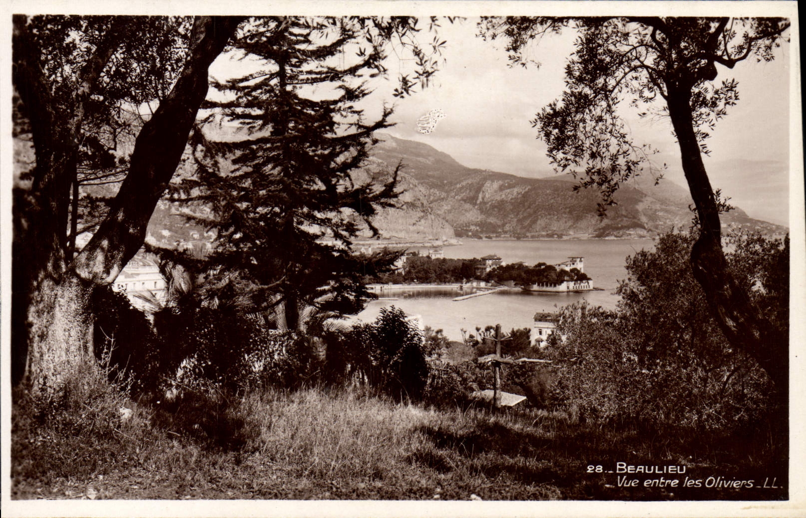 VINTAGE POSTCARD Beaulieu On Sea Seen between the olive-trees