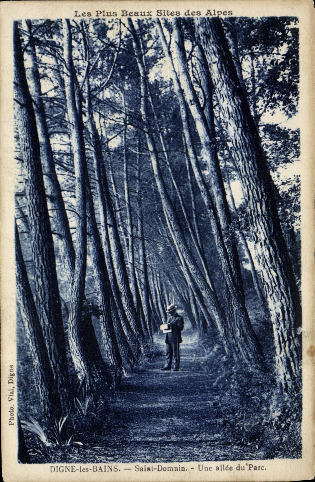 VINTAGE POSTCARD Worthy Les Bains Holy Domnin an Alley Of the Park