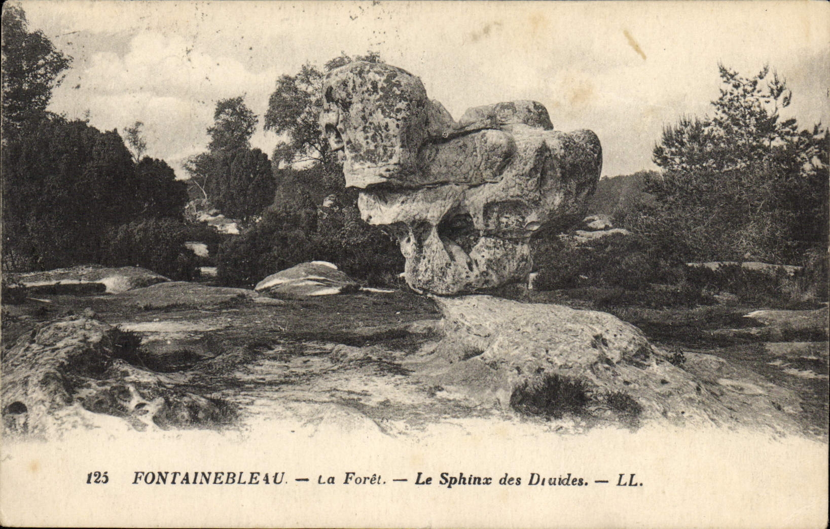 VINTAGE POSTCARD Palate De Fontainebleau the Drill the Sphinx Of the Druids