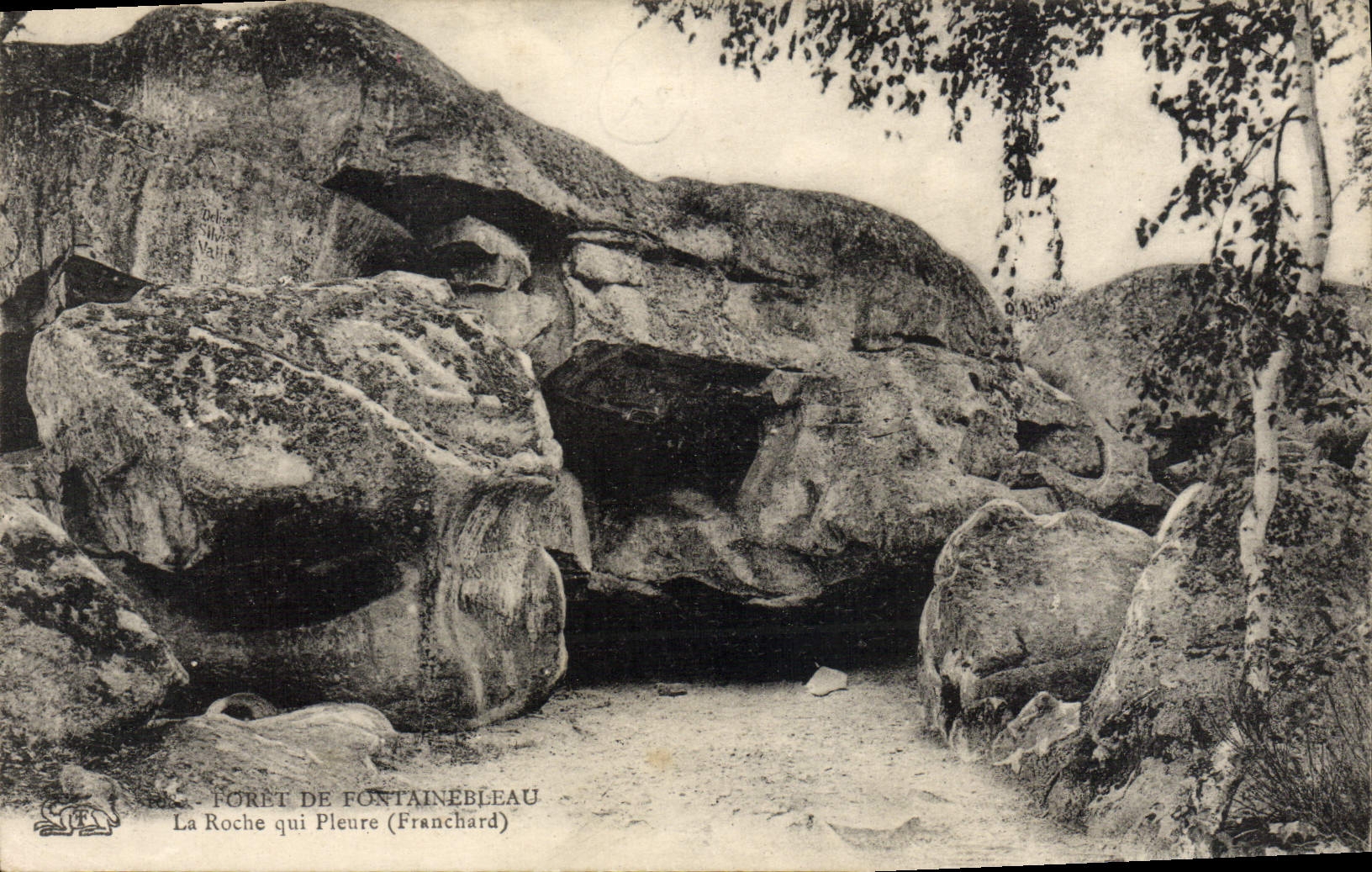 VINTAGE POSTCARD Fontainebleau the Rock Which Cries Franchard