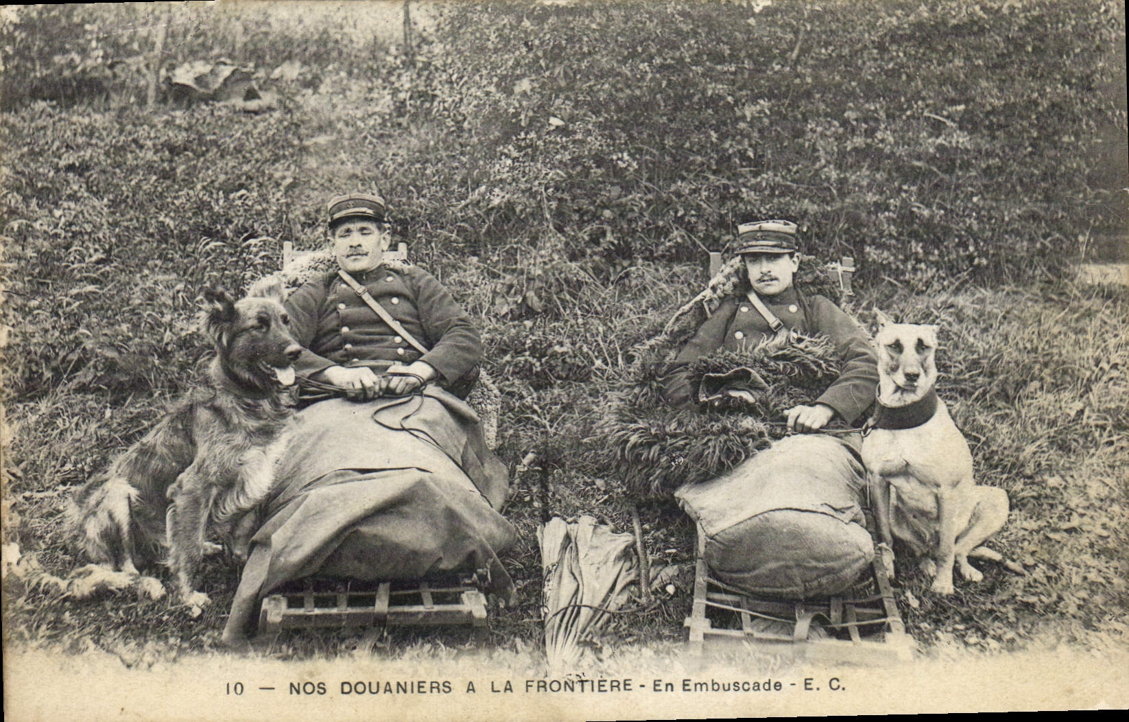 VINTAGE POSTCARD Customs Customs officers In ambush Dog Dogs