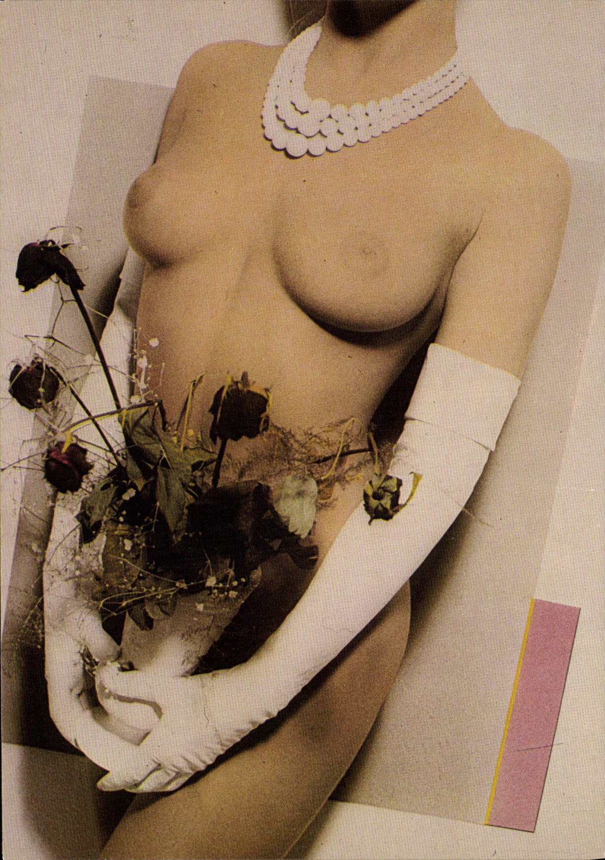 CPM Nu erotique Illustrateur Didier Gaillard