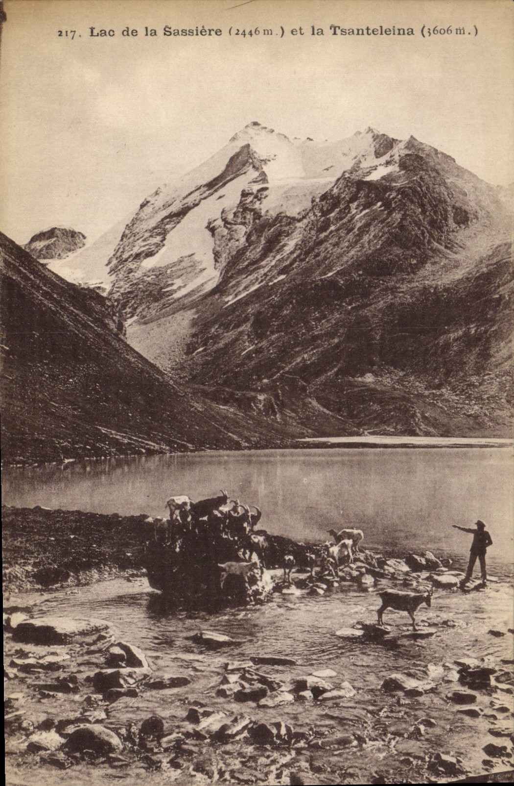 CPA Lac de la Sassiere et la Tsanteleina Chevre 