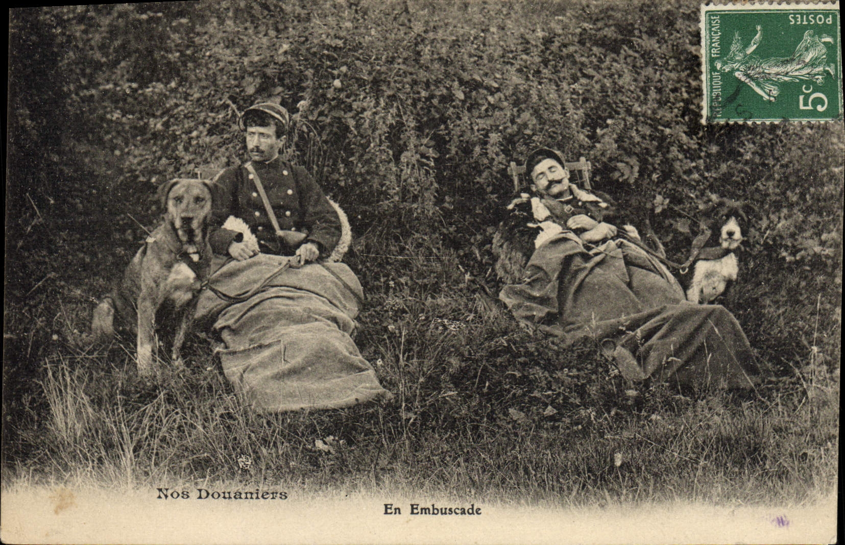 VINTAGE POSTCARD Customs Customs Customs officer In ambush Dog Dogs