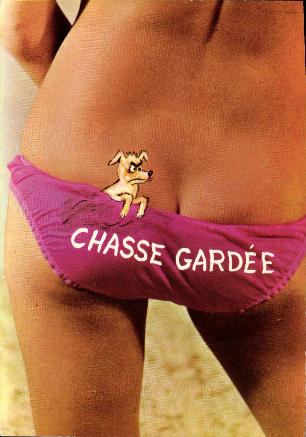 CPM Nu erotique Femme Chien Chasse gardee