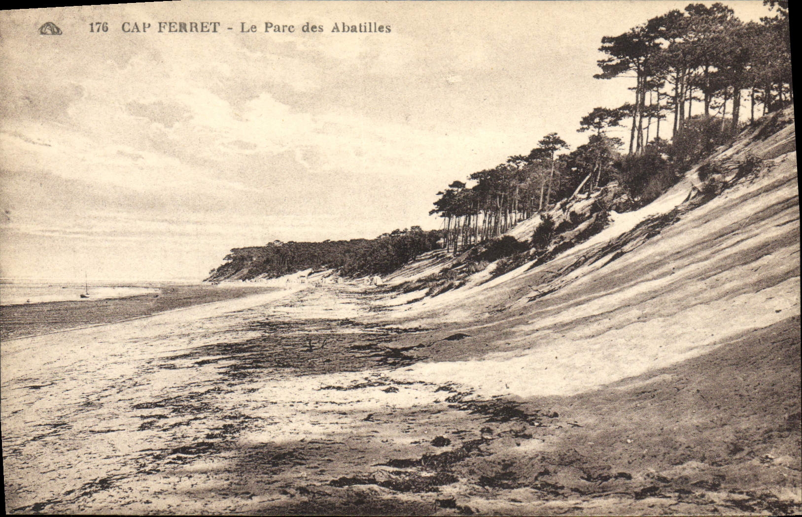 VINTAGE POSTCARD Cape Tag the Park Of Abatilles