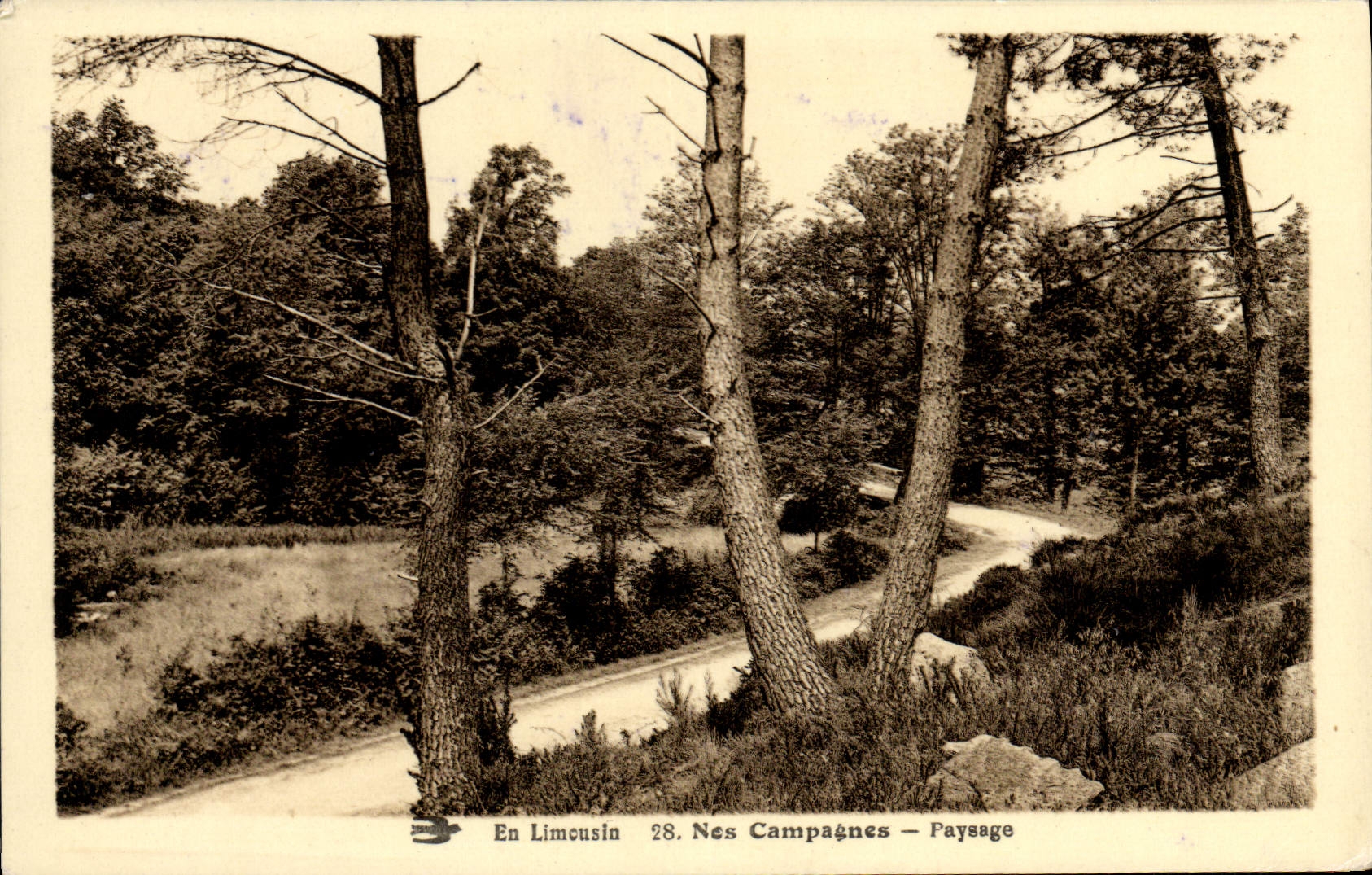 VINTAGE POSTCARD the Limousin Born Campaigns Landscape