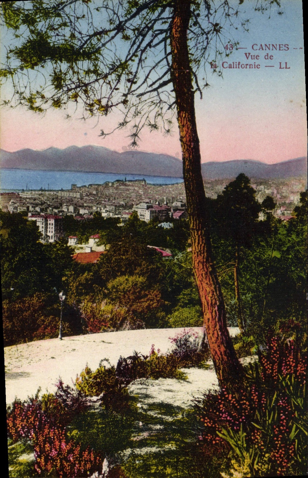 CPA Cannes Vue De La Californie