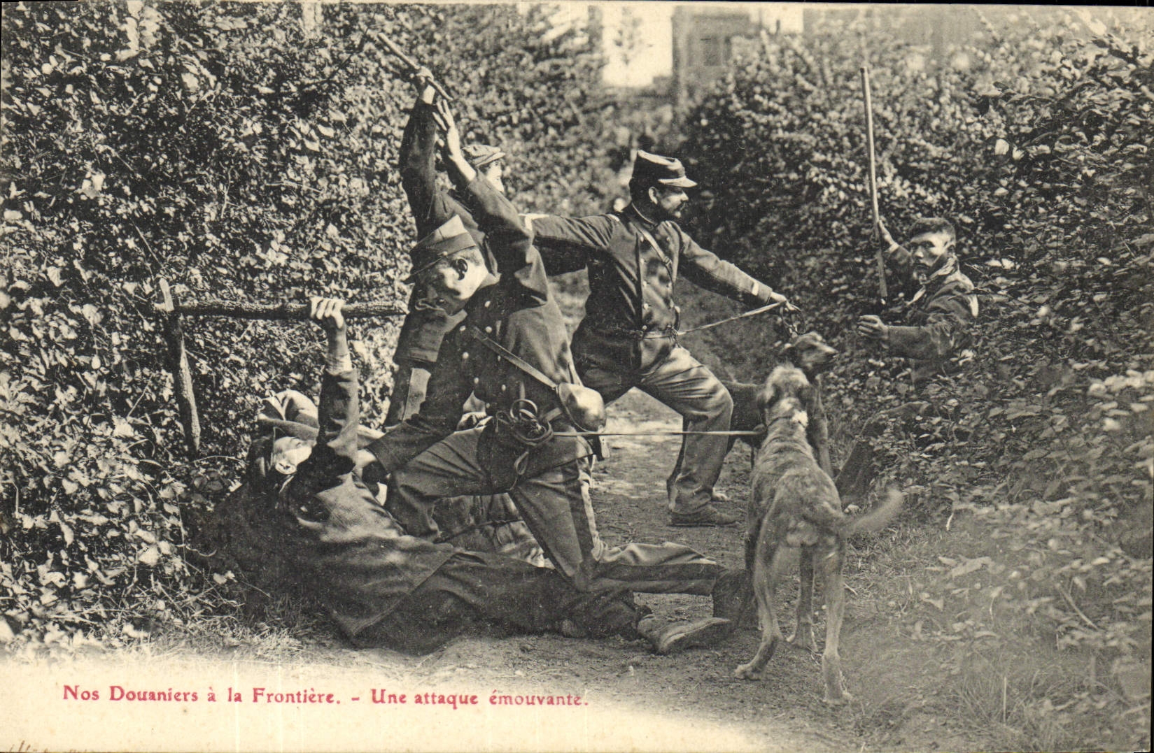 VINTAGE POSTCARD Douanes Our customs officers has our borders a moving attack Chien