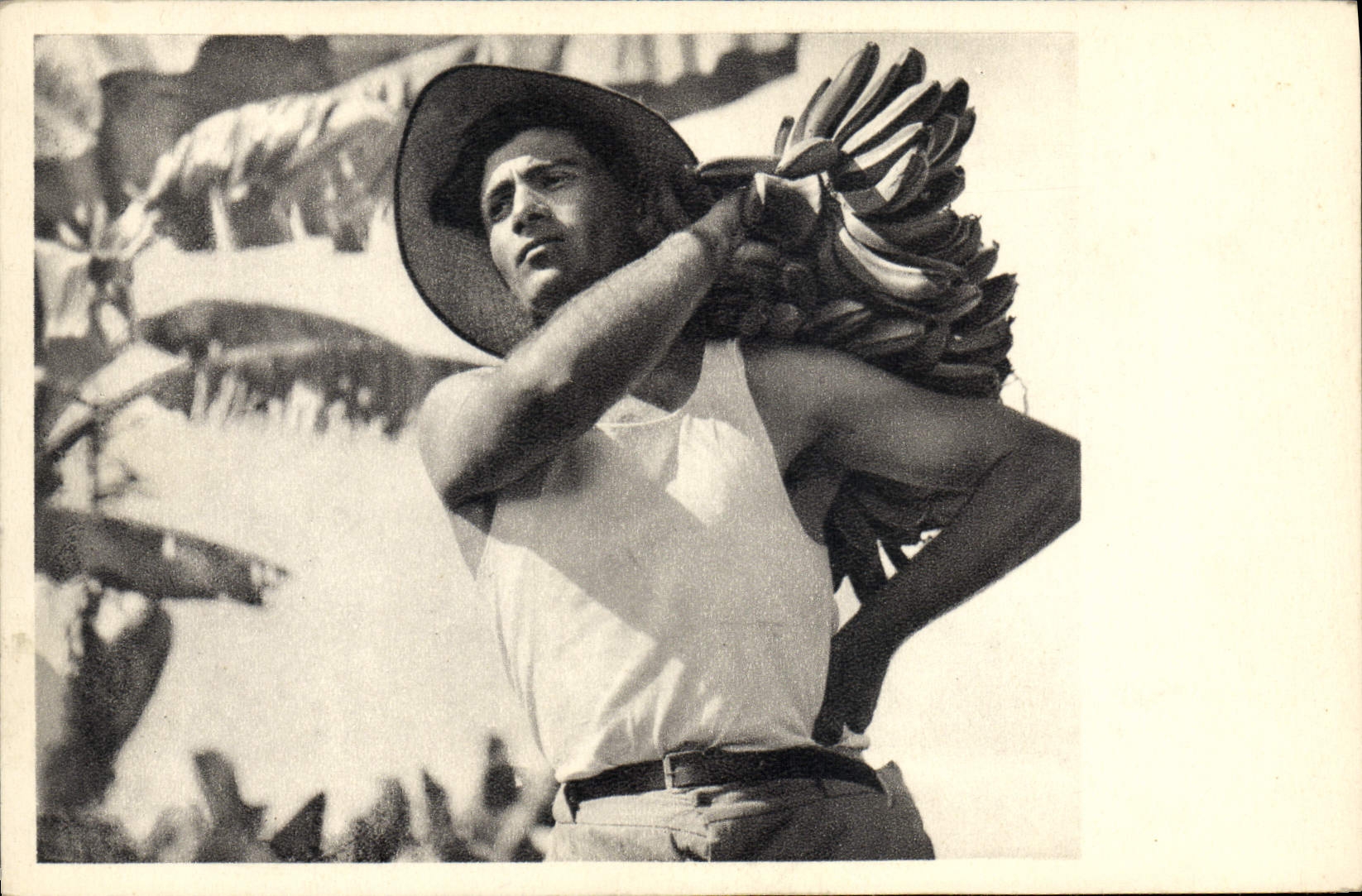 MODERN CARD Jewish Judaica Israel Chalutz Carrying Home the fruit Banana Bananas