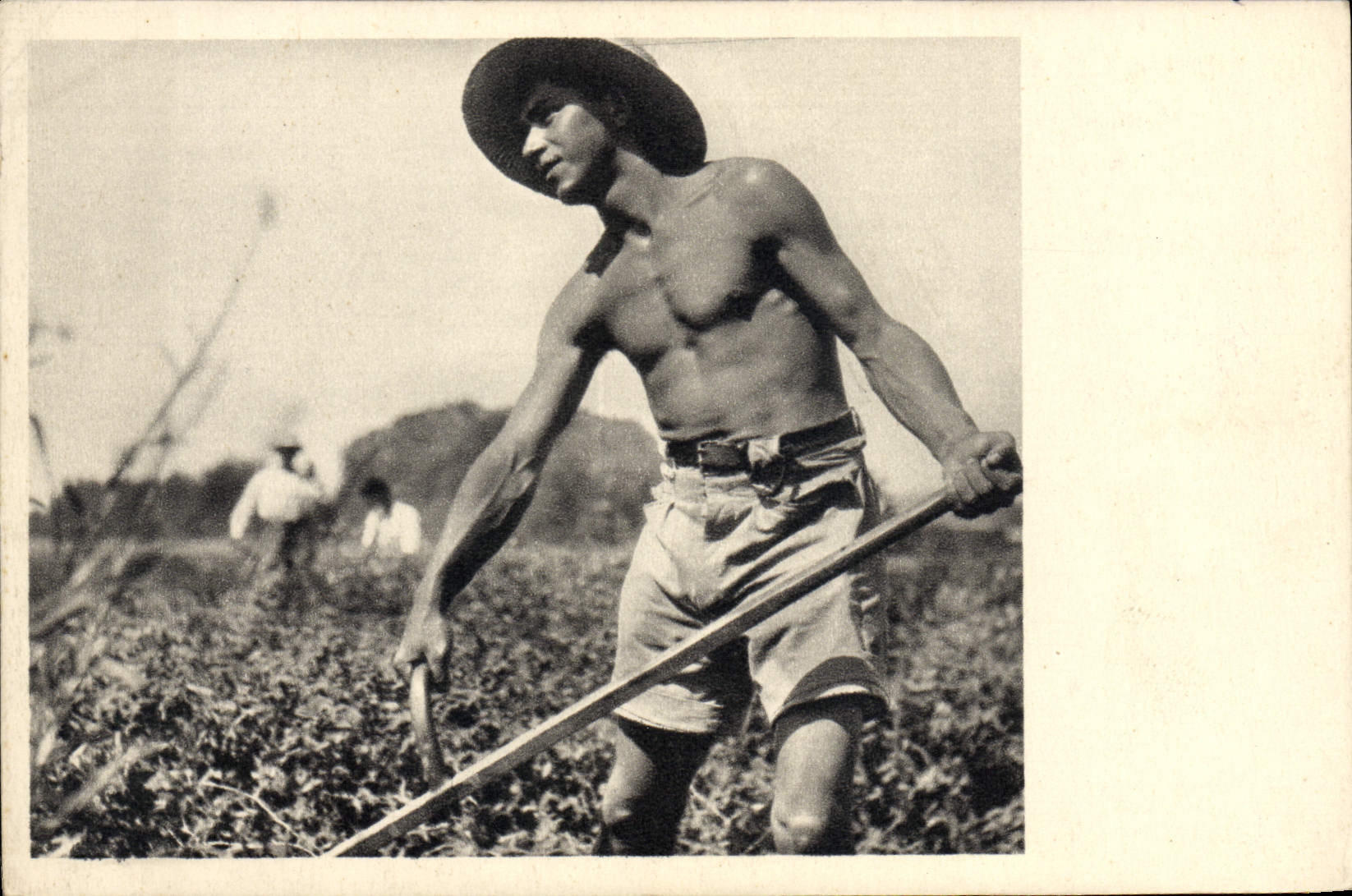 MODERN CARD Jewish Judaica Pupil At Mikveh Israel