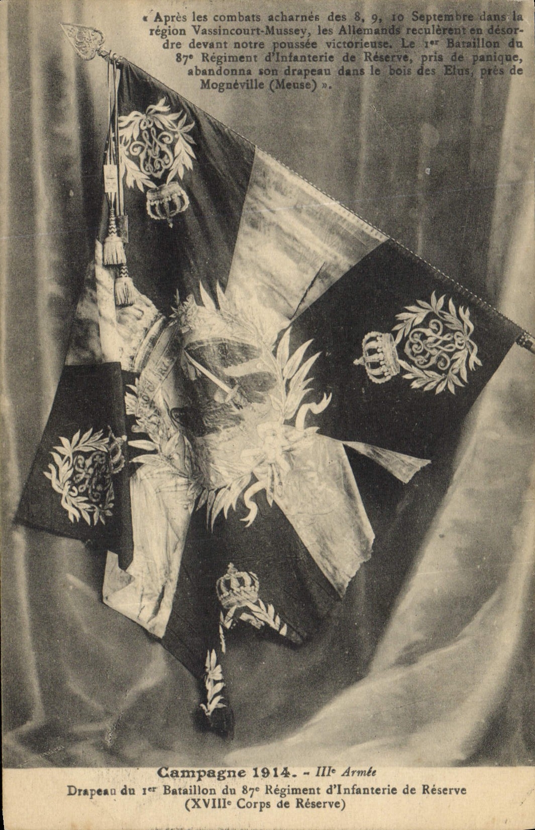 CPA Militaria Drapeau du 1er bataillon du 87eme regiment d'infanterie de reserve
