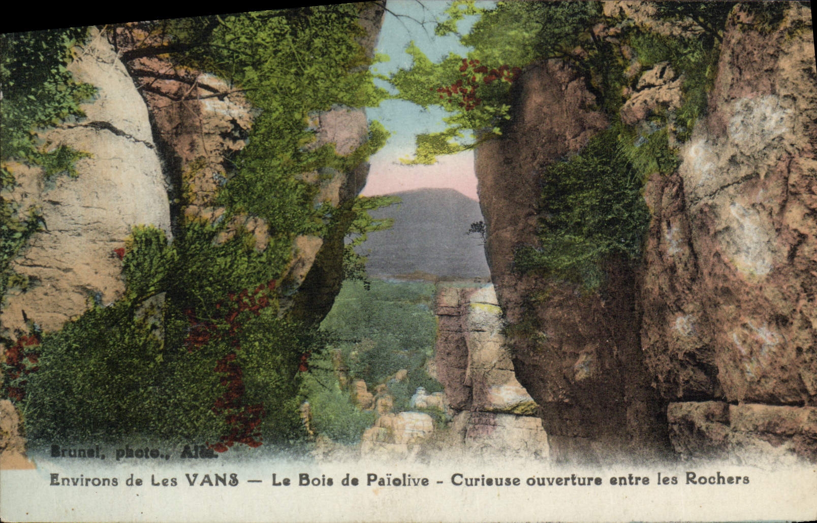 VINTAGE POSTCARD Environs of Vans the Wood of Paiolive Curieuse opening enters the rocks