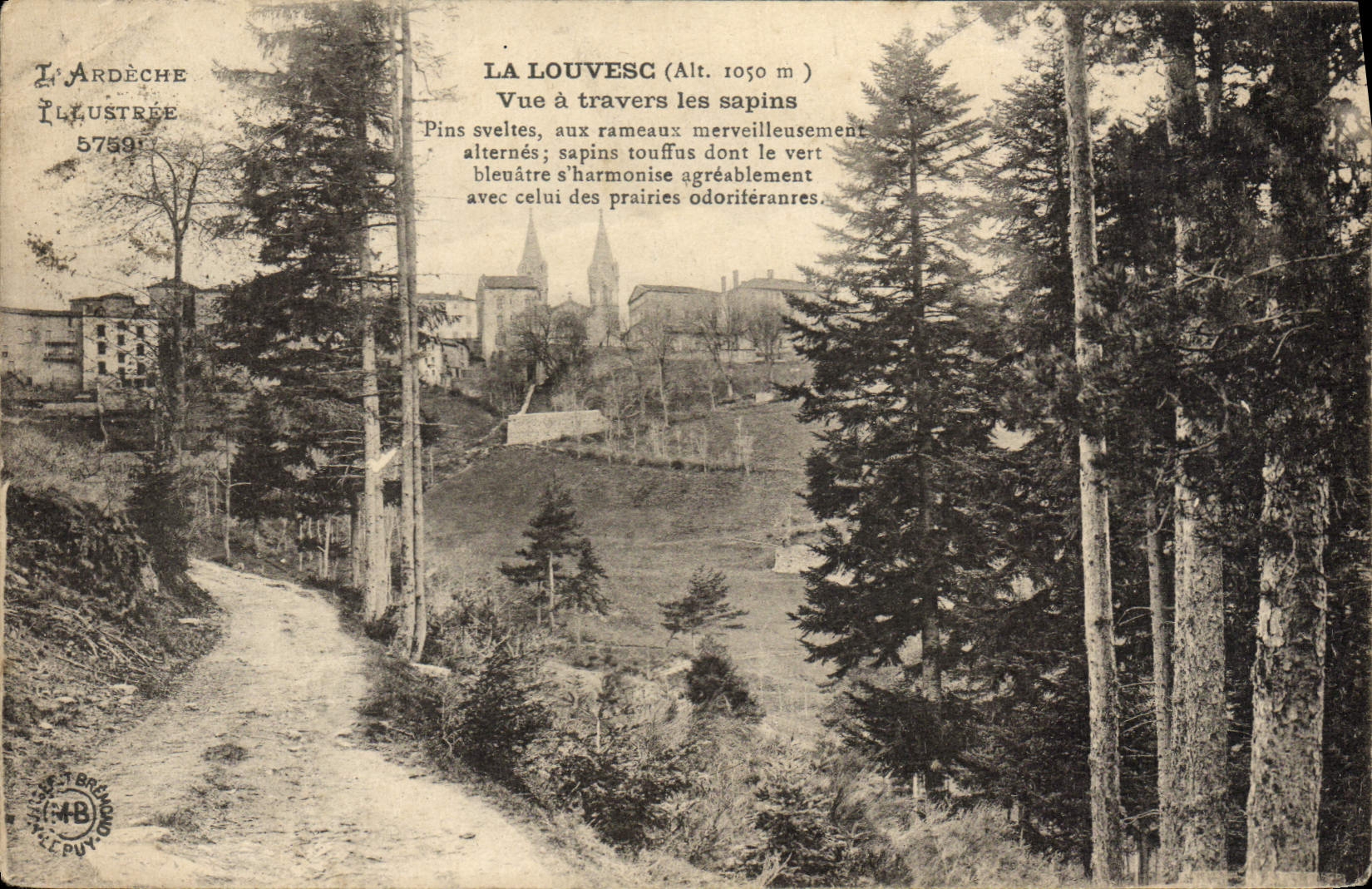 CPA La Louvesc Vue A Travers les Sapins