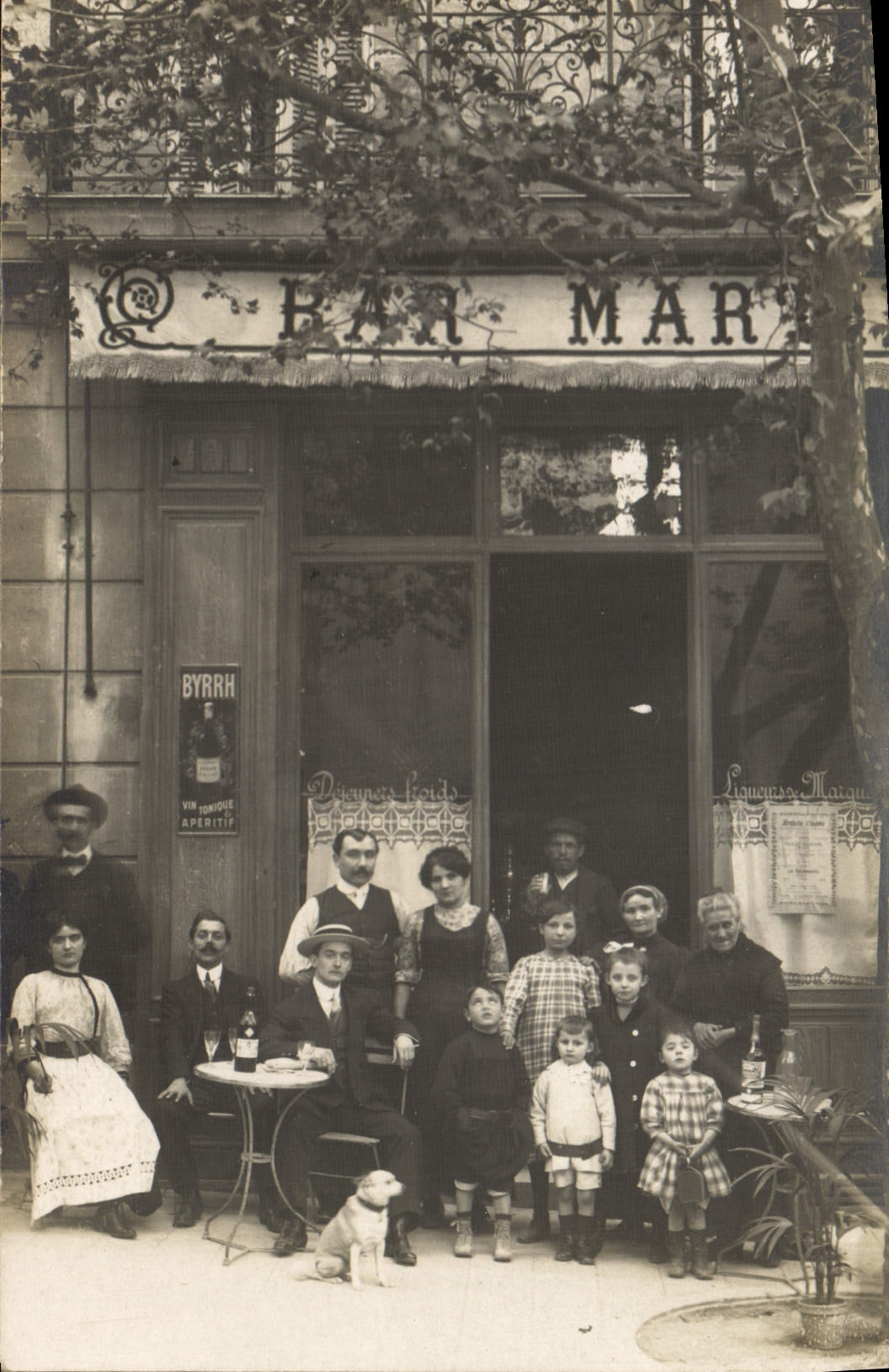 Real photo coffee Bar Children Dog