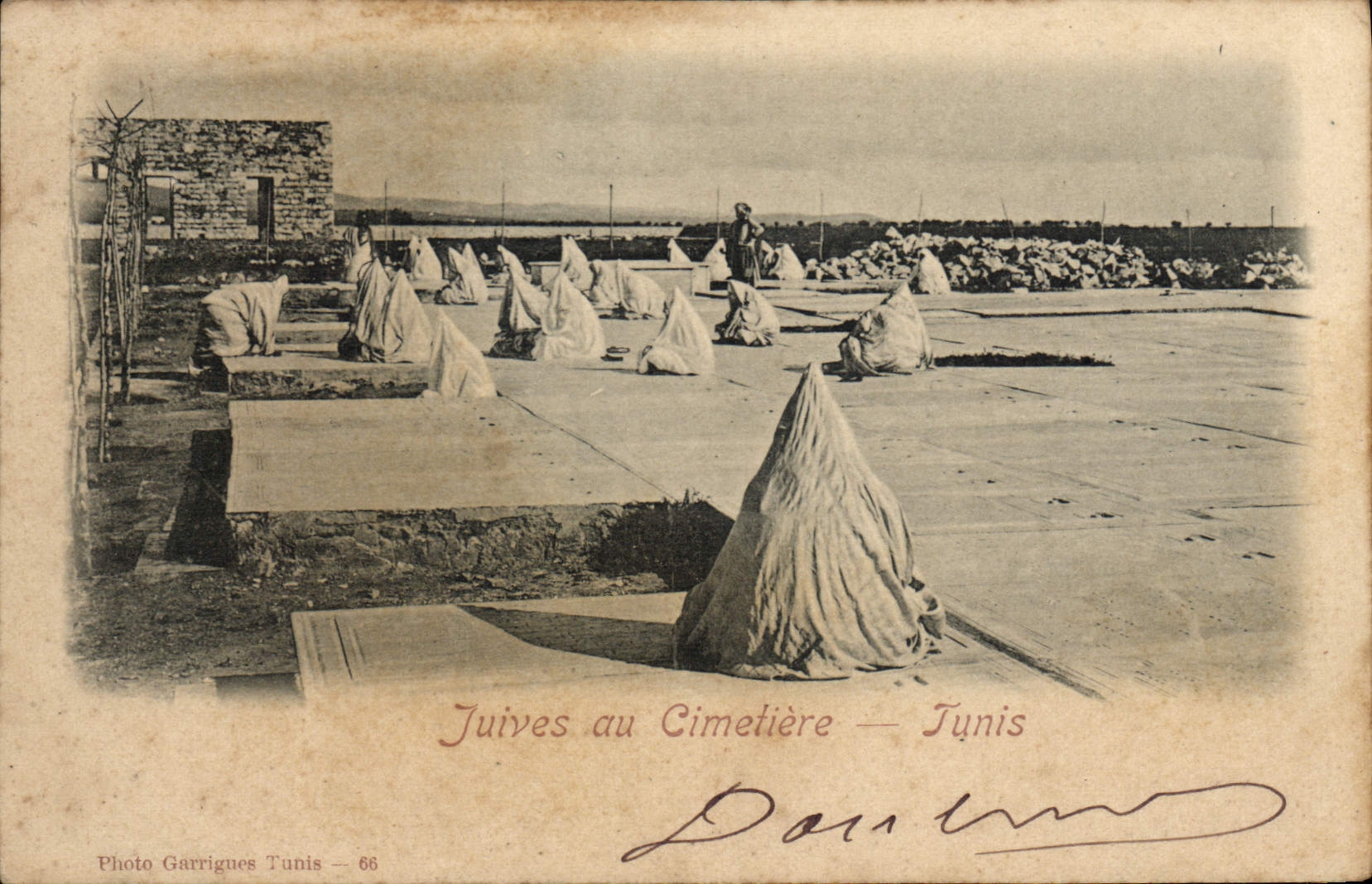 VINTAGE POSTCARD Jewish Judaica Judaïca Jewish with the cemetery Tunis Tunisia