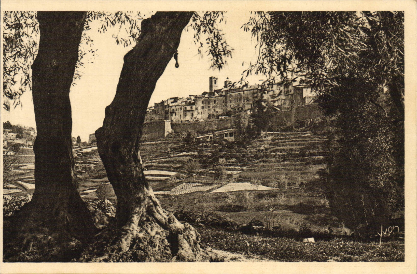 VINTAGE POSTCARD Saint Paul the Village Strengthens seen through the olive-trees