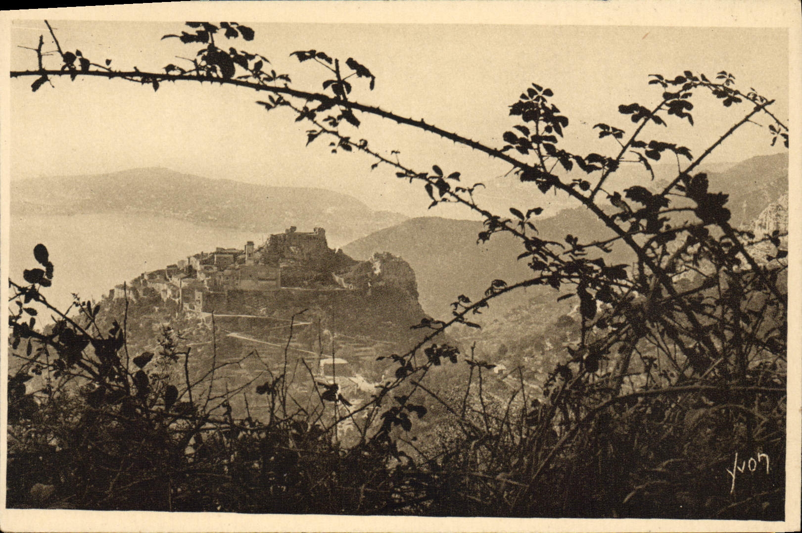 POSTAL Eze de la VENDIMIA visto de aldea a través de los árboles de mora