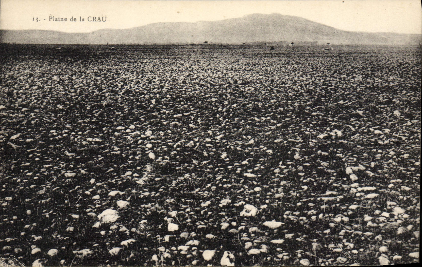 CPA Plaine de la Crau