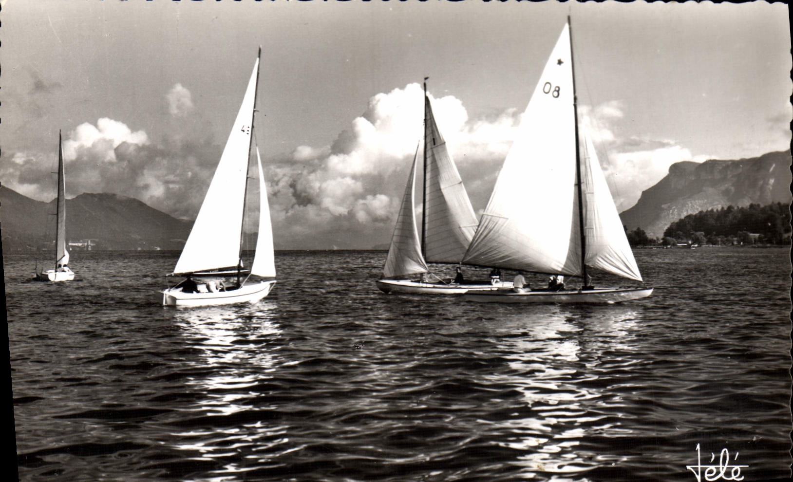 CPM Bateau Voilier Lac du Bourget et ses voiliers