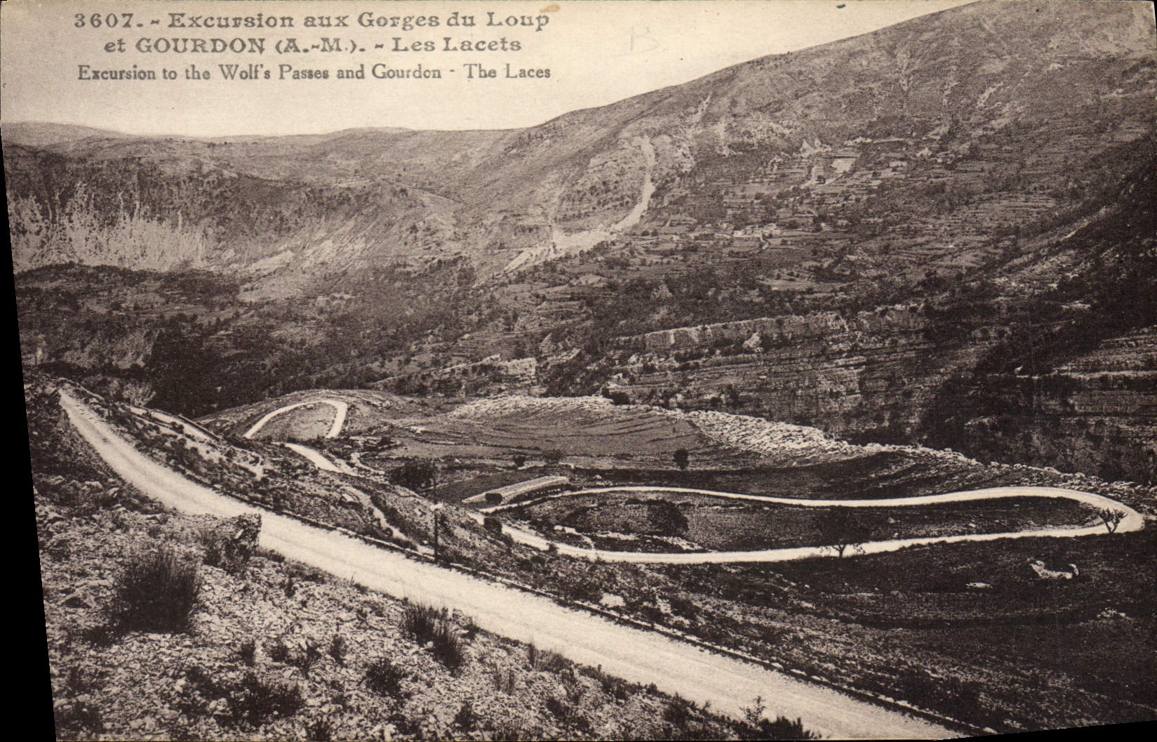 VINTAGE POSTCARD Excursion with the throats of the Wolf and Gourdon Laces