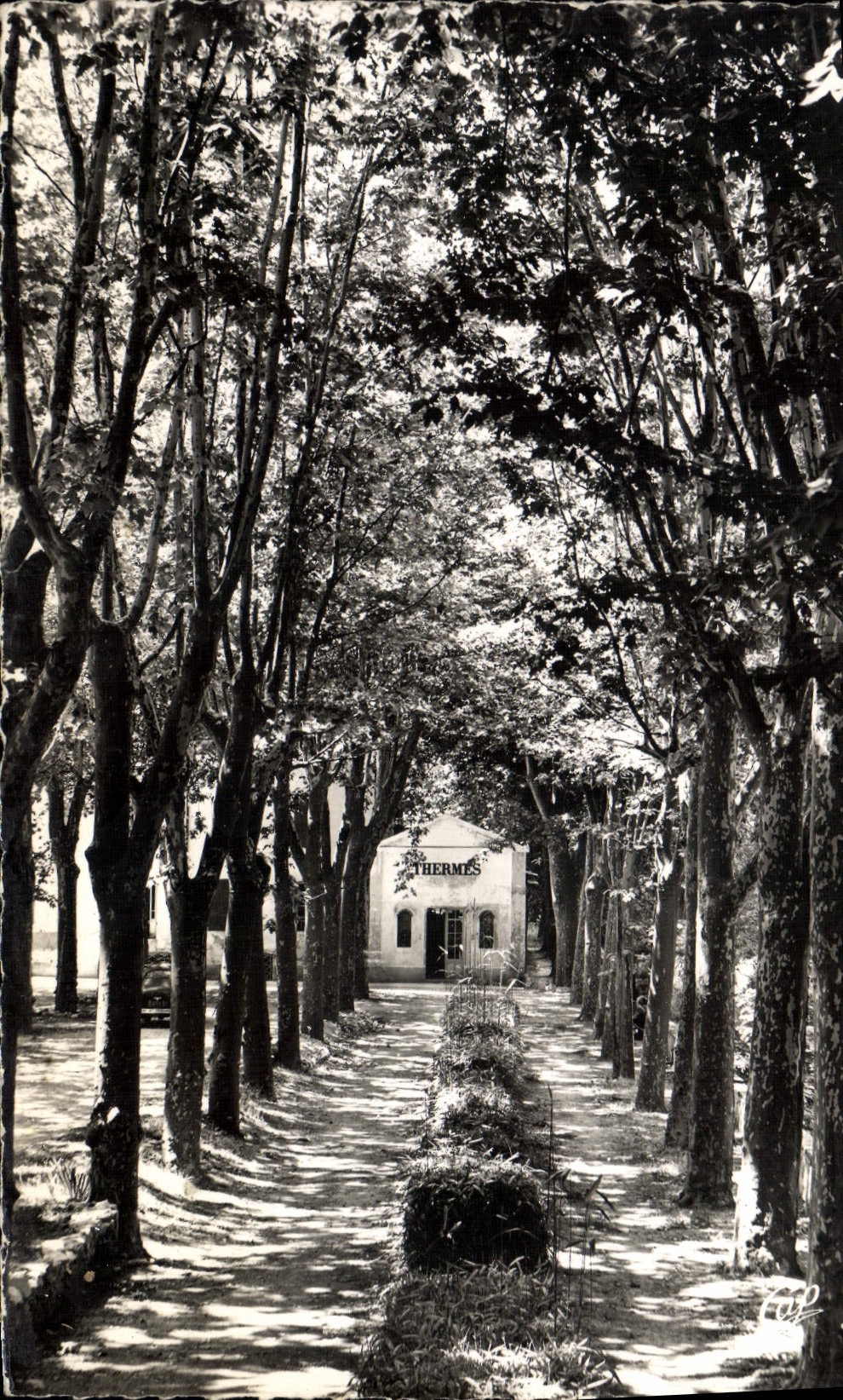 VINTAGE POSTCARD Greoux Les Bains the alley of the thermal baths