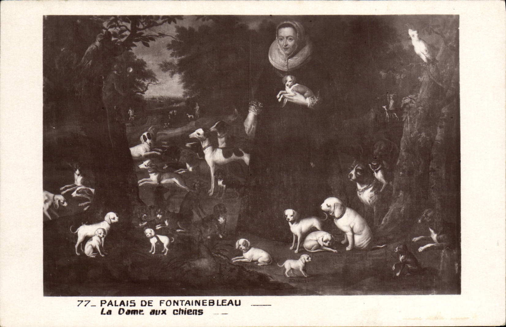 VINTAGE POSTCARD Palate De Fontainbleau the Lady With the Dogs