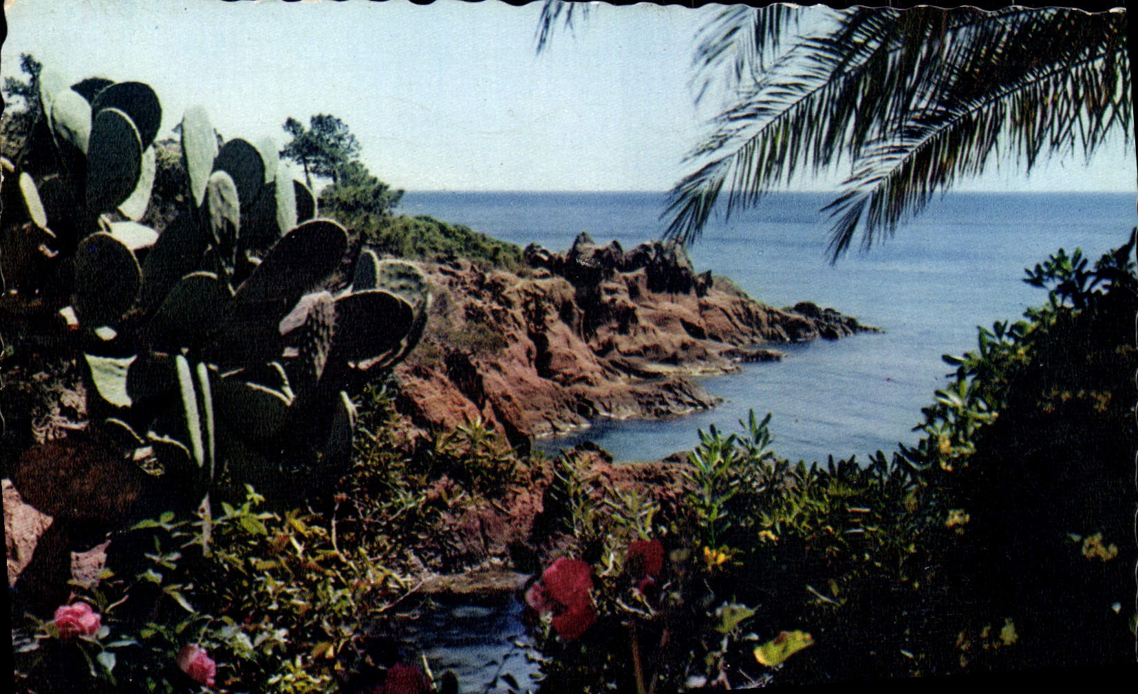 MODERN CARD Mediterranean Shores