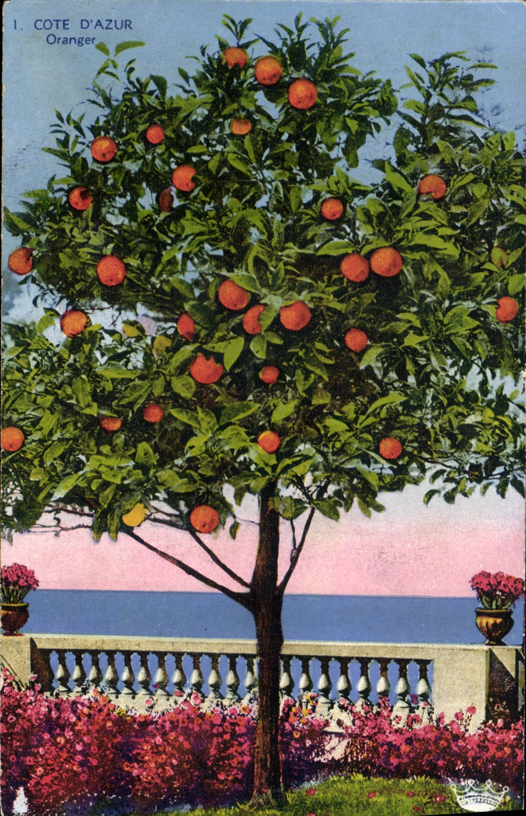 VINTAGE POSTCARD Dimension Of Azure Orange tree