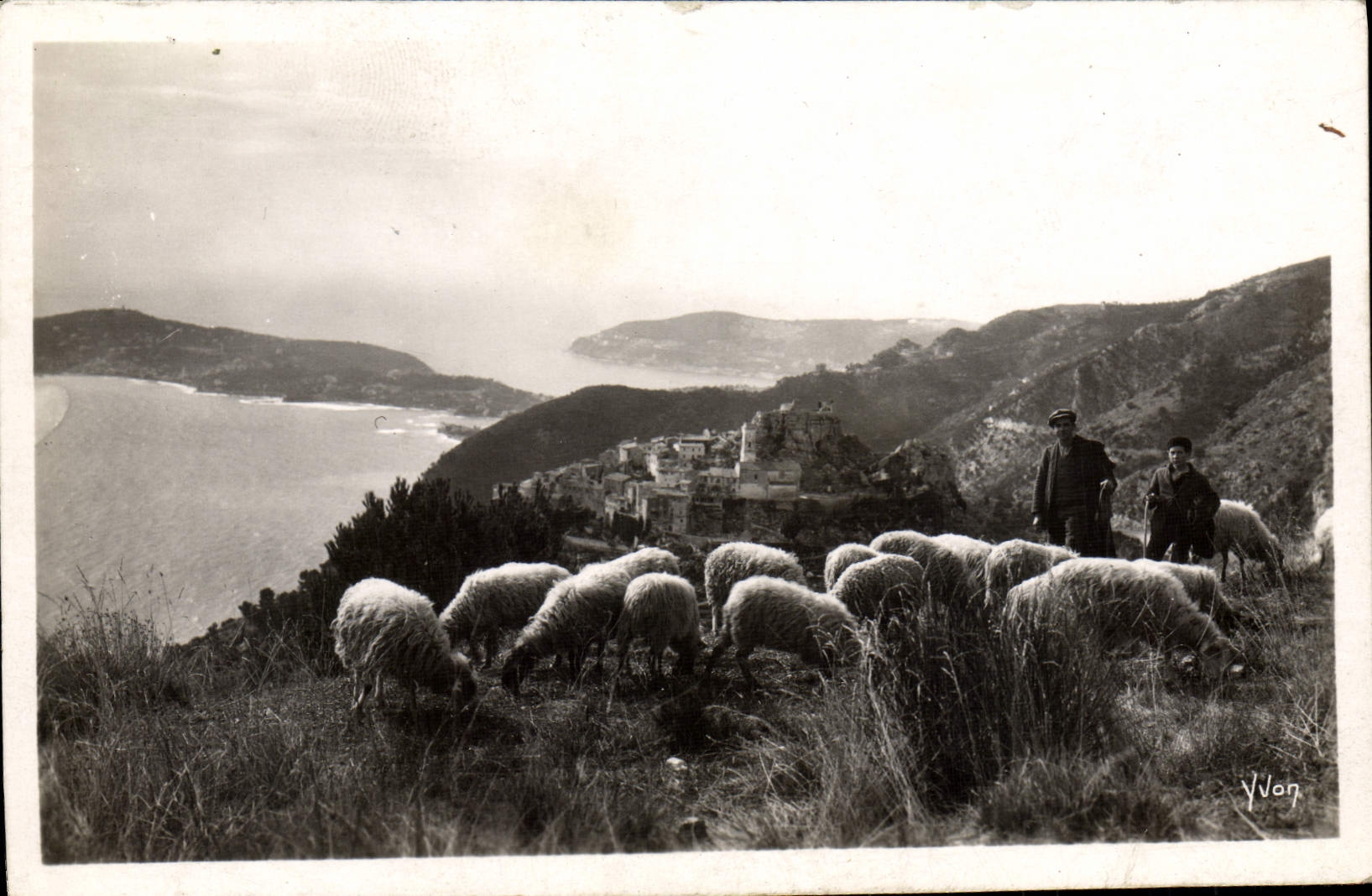 CPM La Douce France Cote D'Azur Paturage sur la grande corniche Dans le fond le village d'Eze Berger Moutons