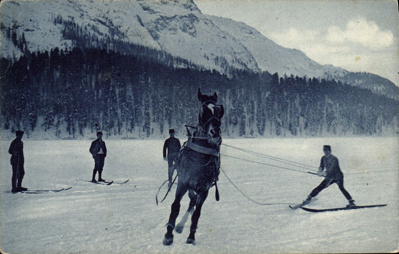 Caballo del esquí de los deportes de invierno de la POSTAL de la VENDIMIA