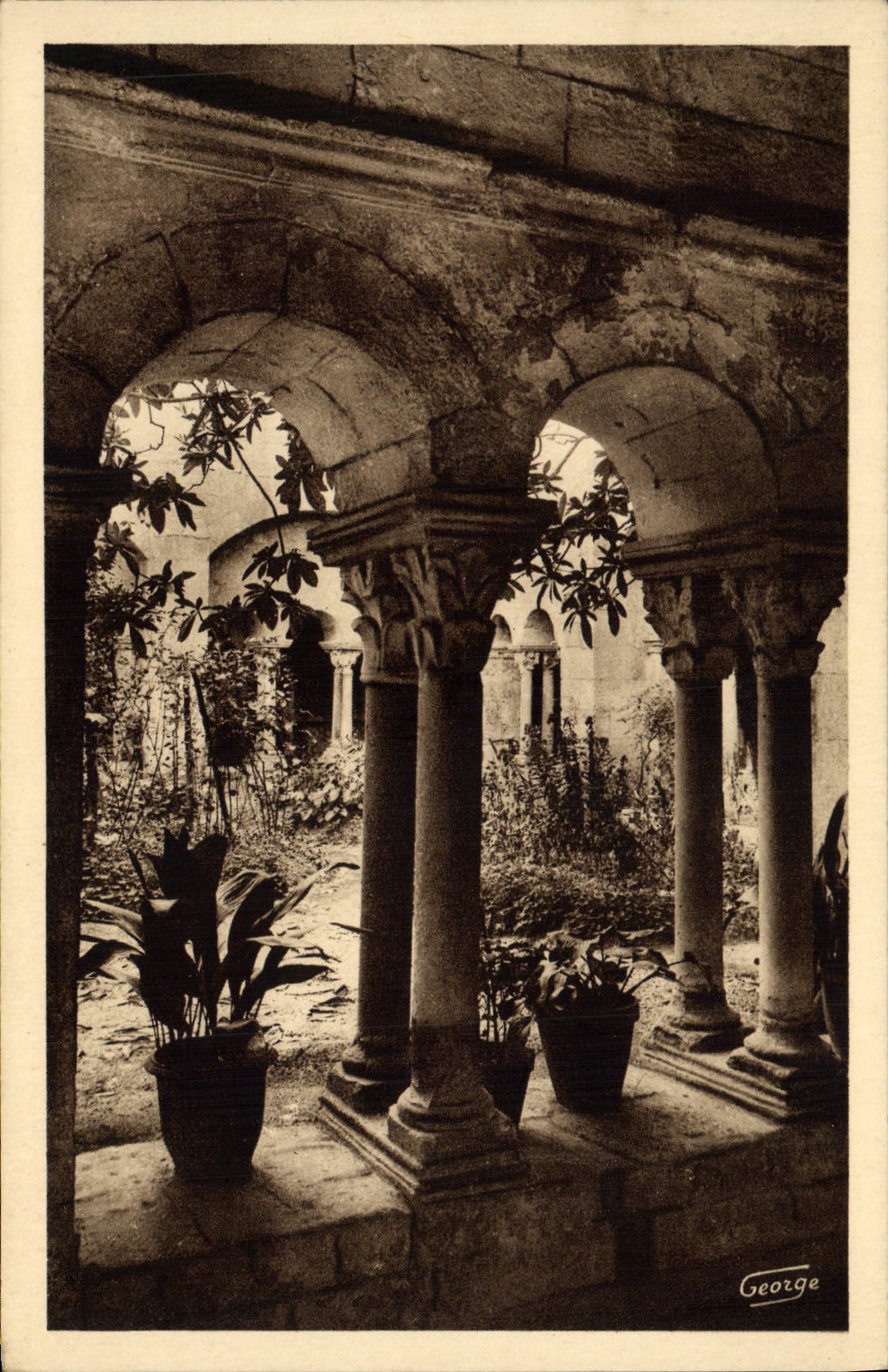 CPA Saint Remy De Provence Cloitre Saint Paul