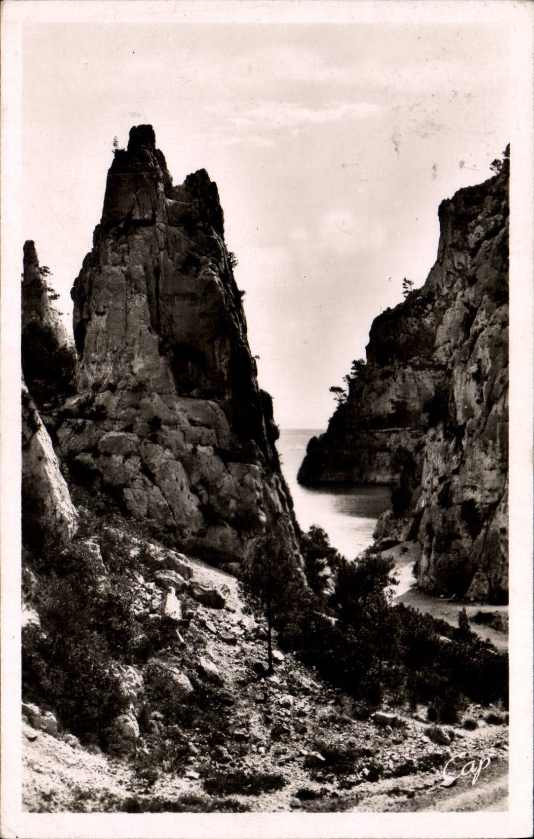 Cala de la grosella negra de la POSTAL de la VENDIMIA en de Vau la pirámide