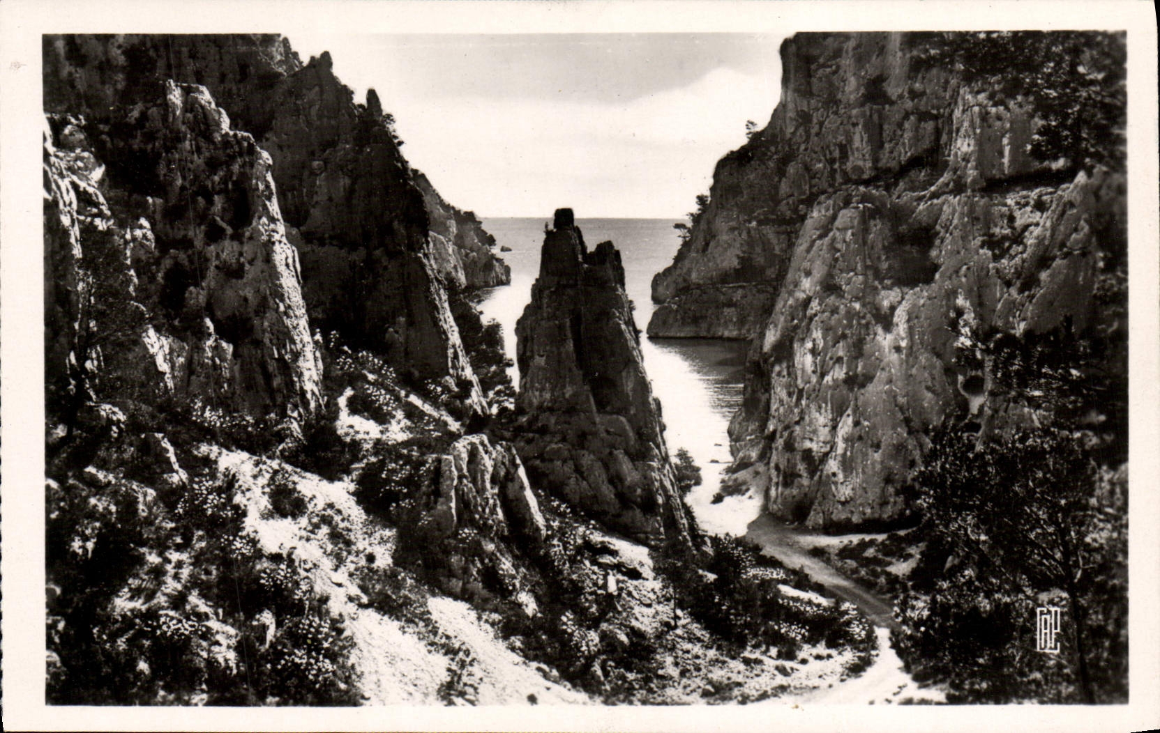 Cala de la grosella negra de la POSTAL de la VENDIMIA en de Vau