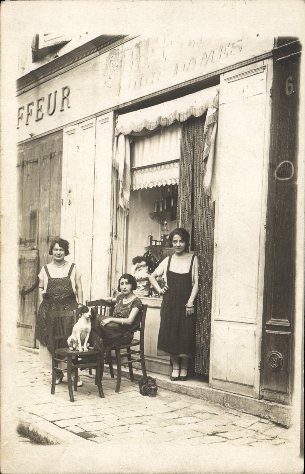CARTE PHOTO Coiffeur Perruquier Chien