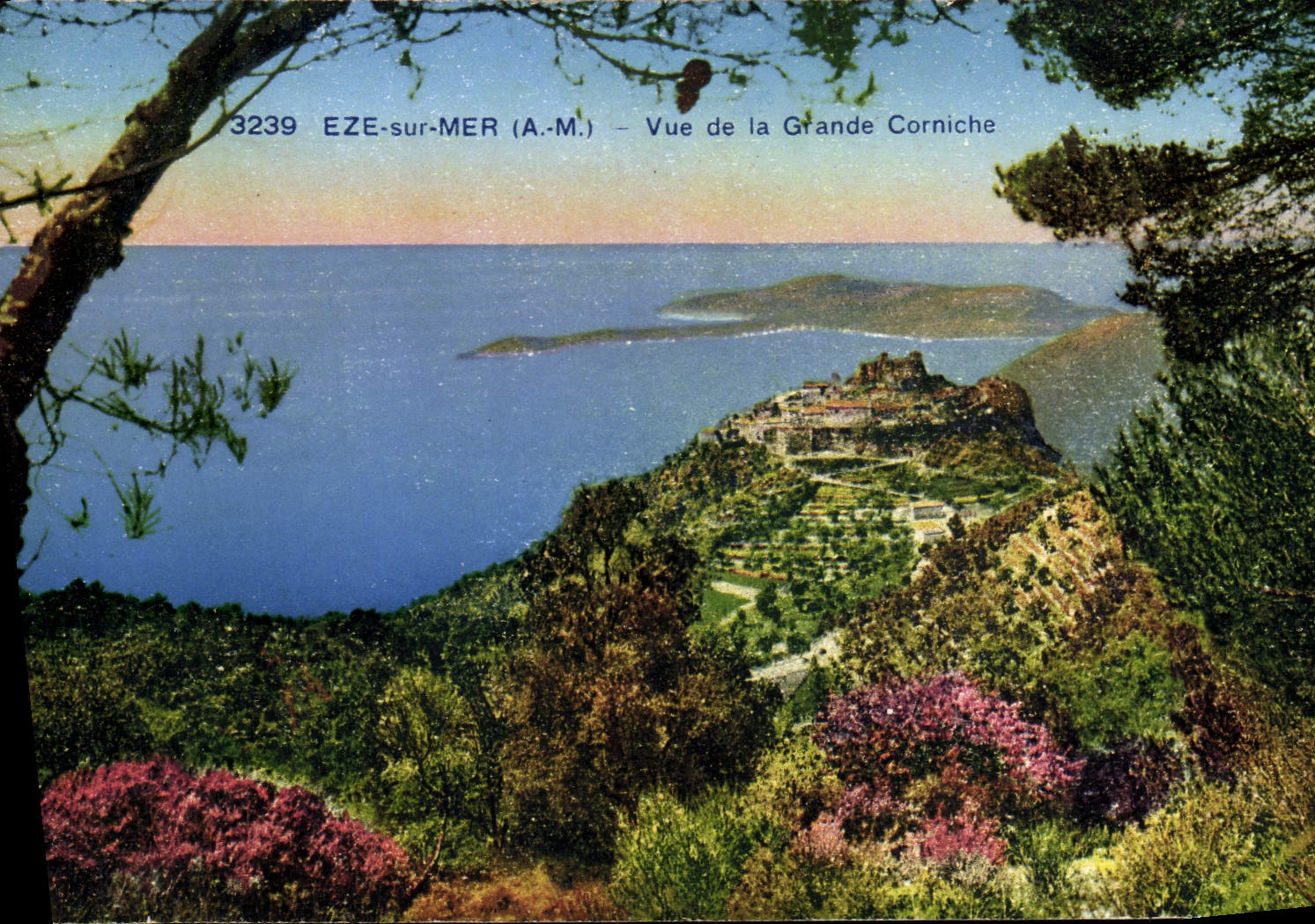 CPA Eze Sur Mer Vue de la Grande Corniche
