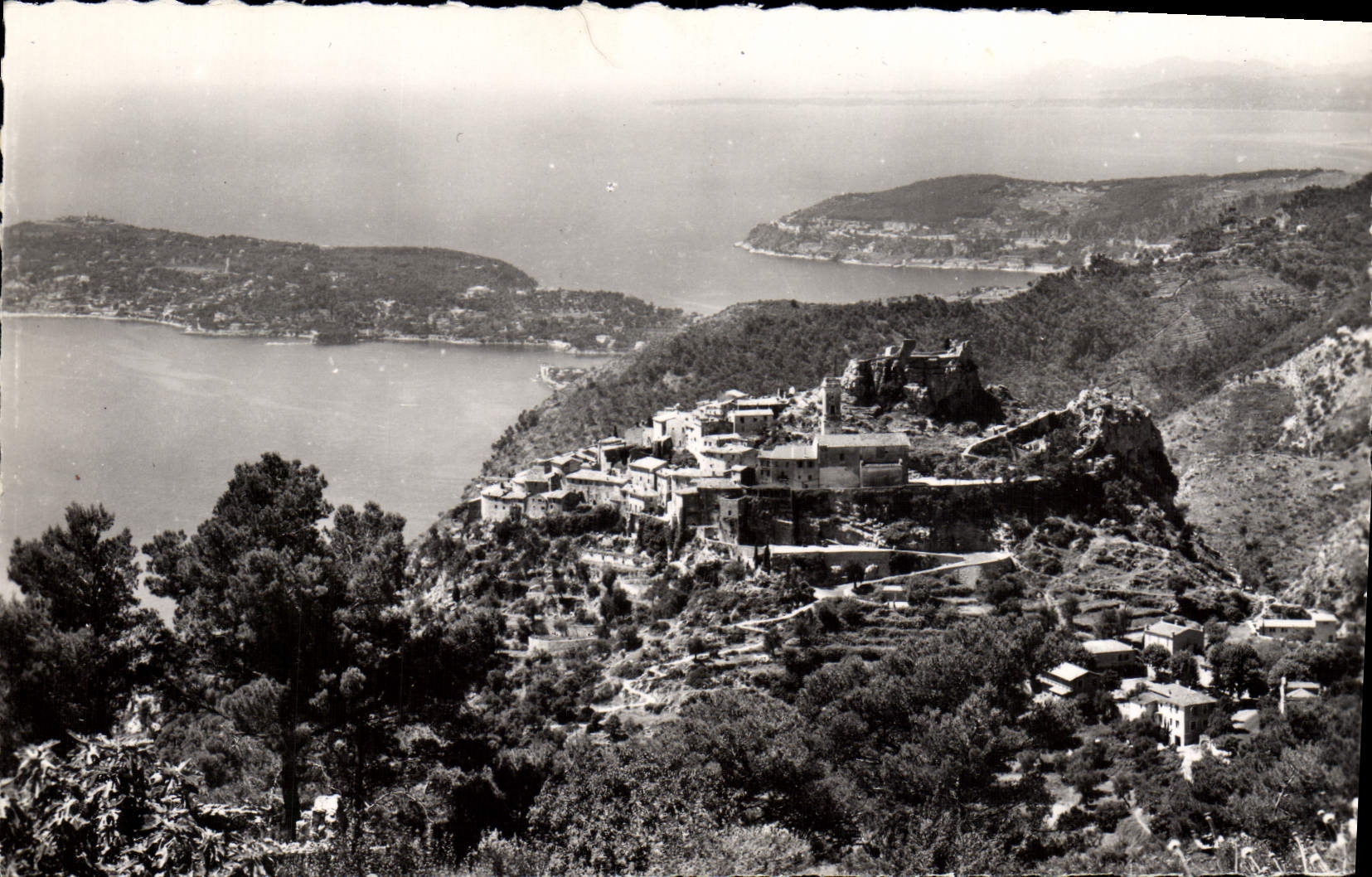 POSTAL Eze de la VENDIMIA la opinión de la aguilera el cabo Ferrat