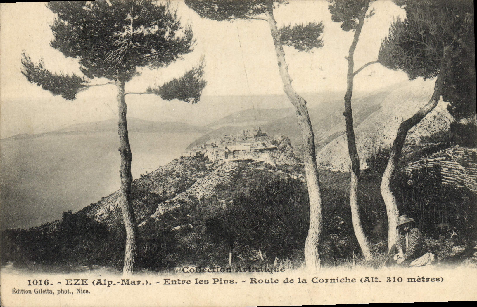 La POSTAL Eze de la VENDIMIA entra en el camino de los pinos de la cornisa