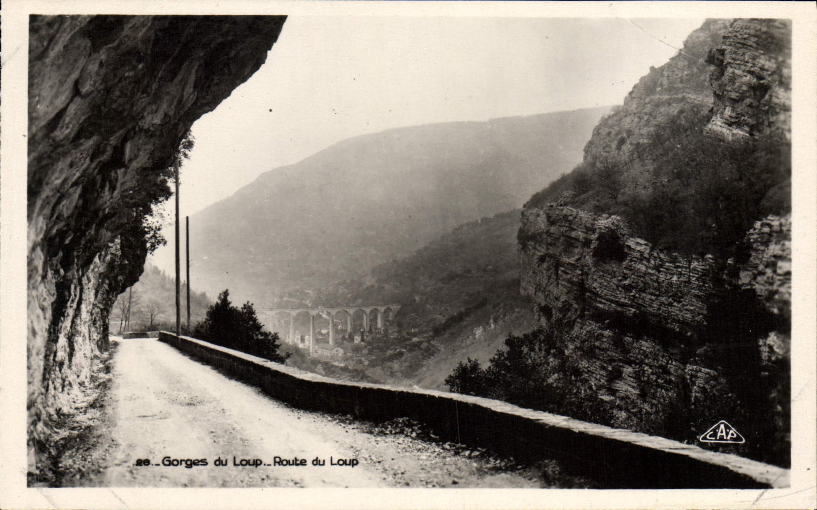 VINTAGE POSTCARD Falls Of the Wolf Road of the Wolf