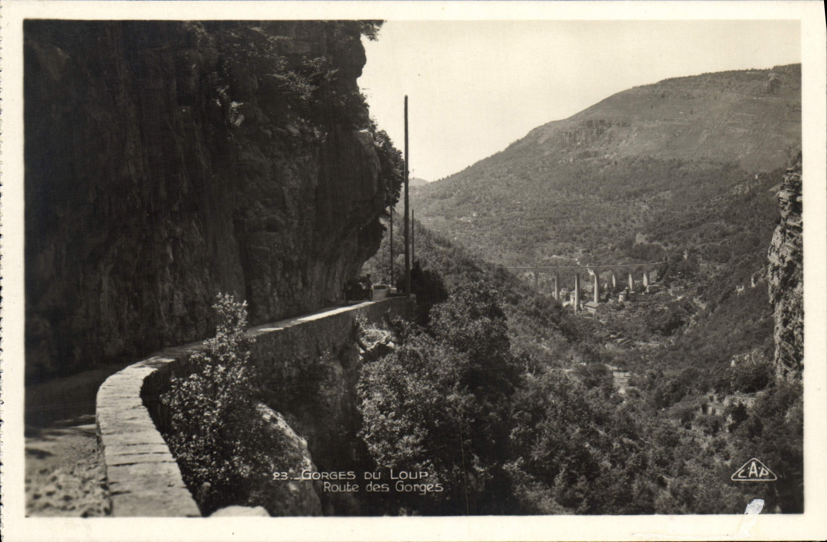VINTAGE POSTCARD Falls Of the Wolf Road of the throats