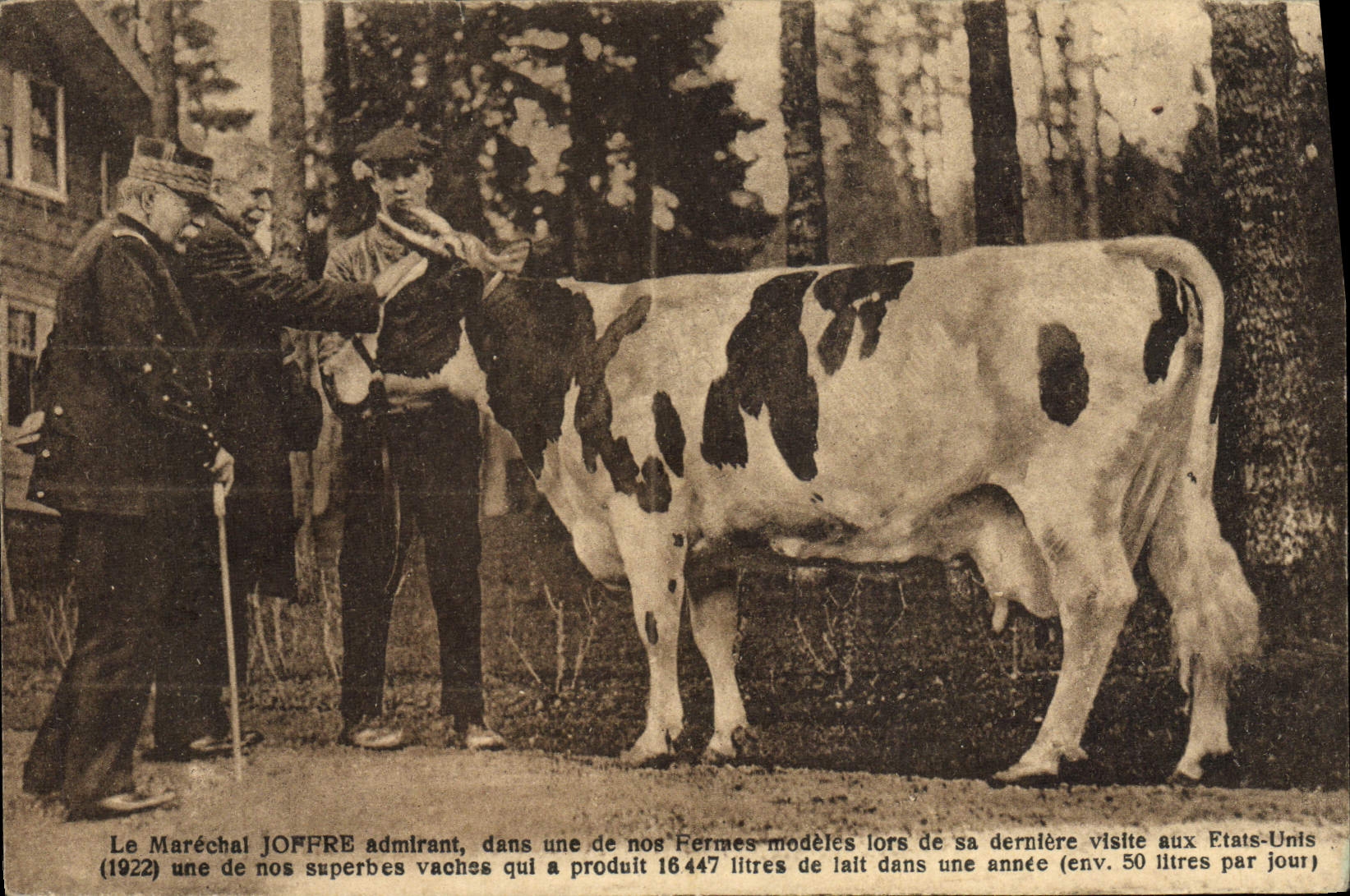 CPA Folklore Le marechal Joffre admirant une vache
