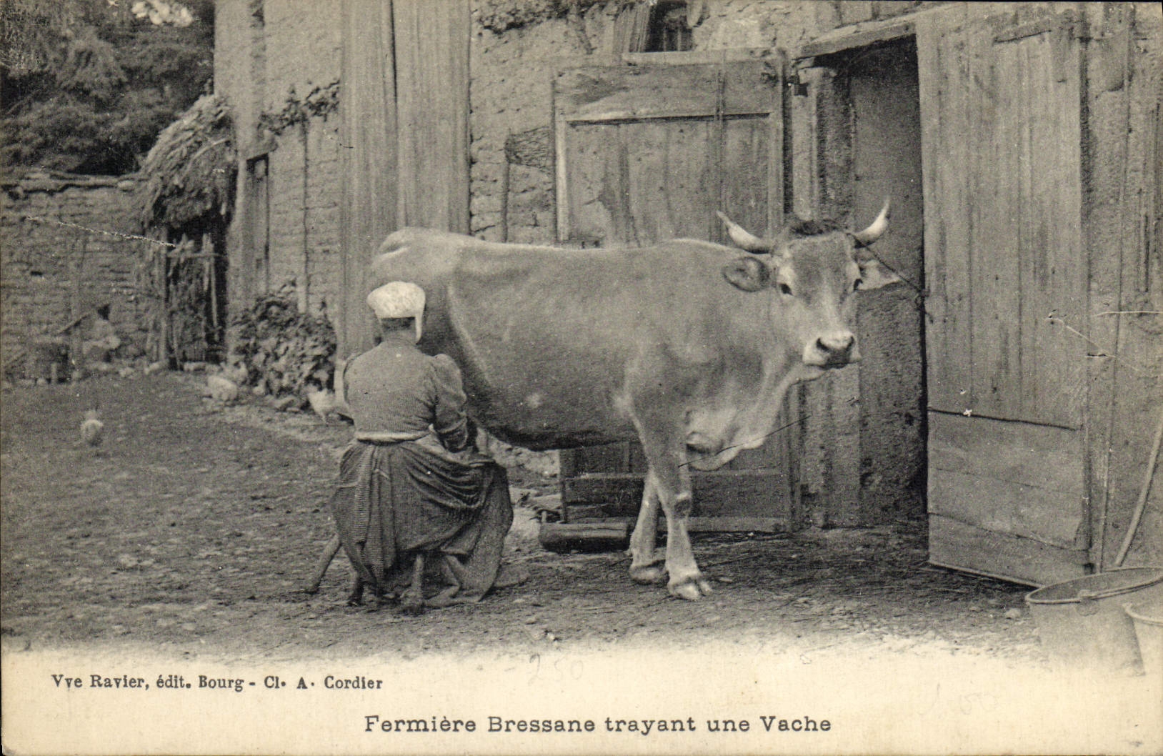 CPA Folklore Fermiere Bressane trayant une vache TOP